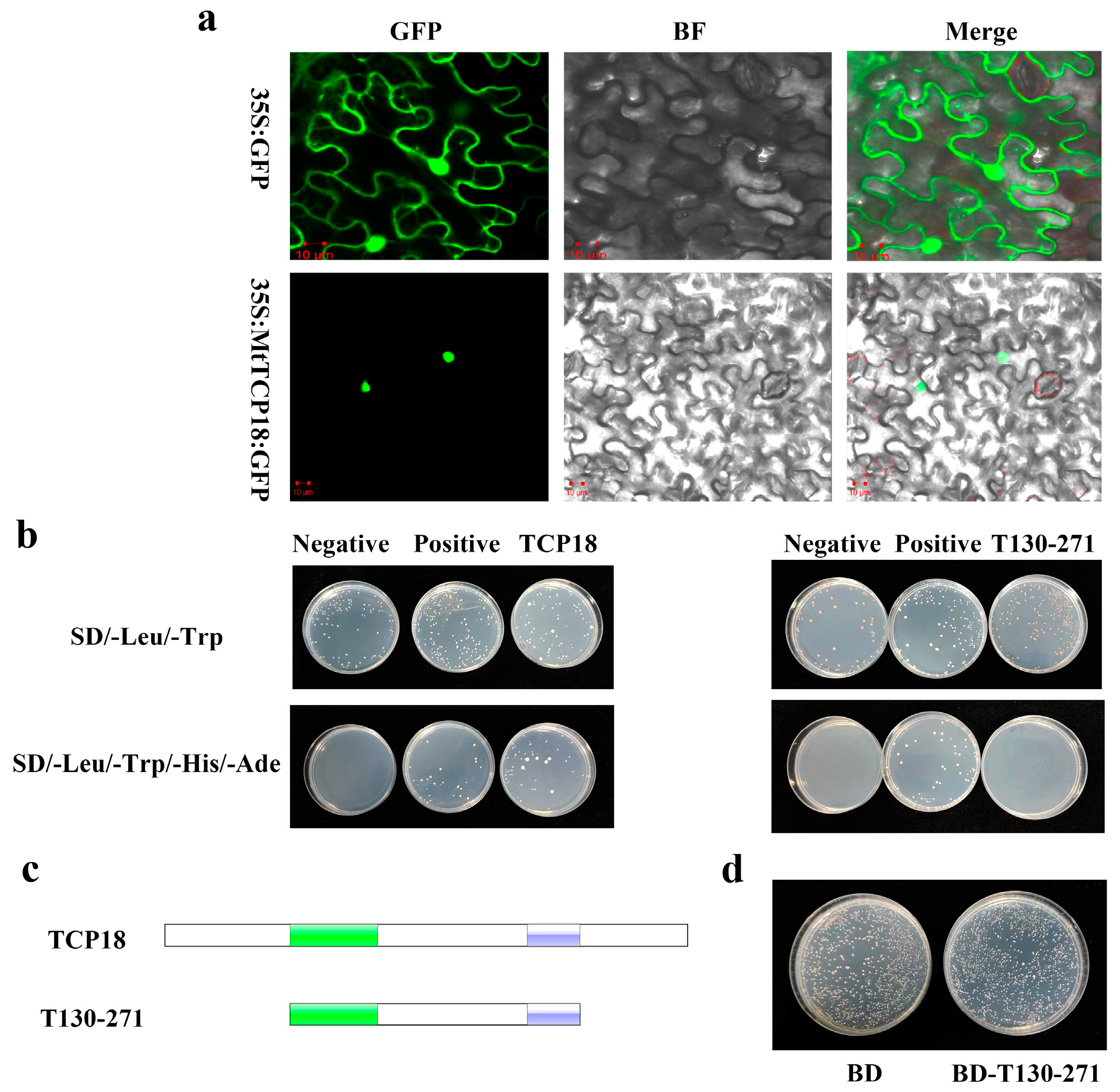 Plants 13 01012 g003