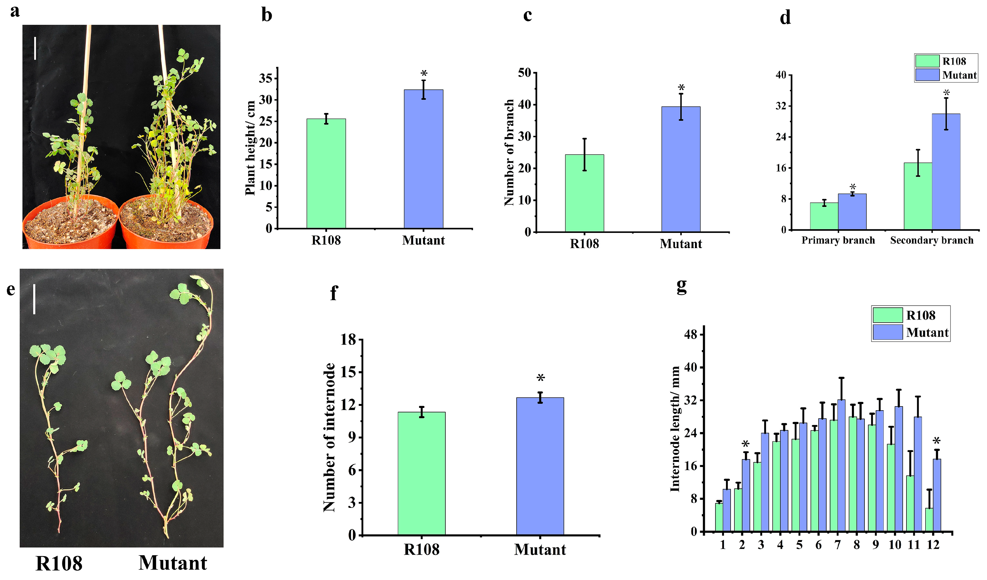 Plants 13 01012 g004