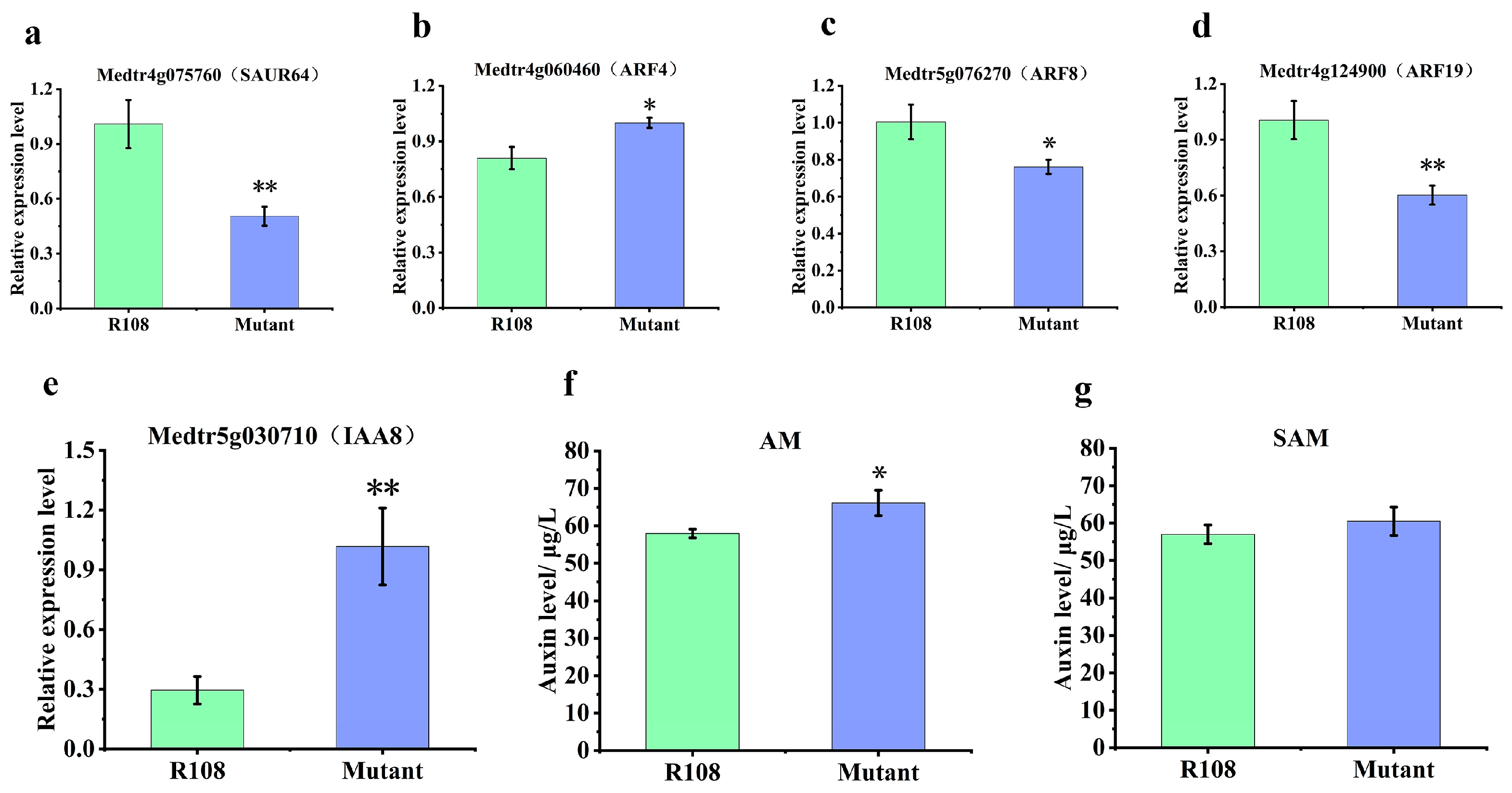 Plants 13 01012 g005