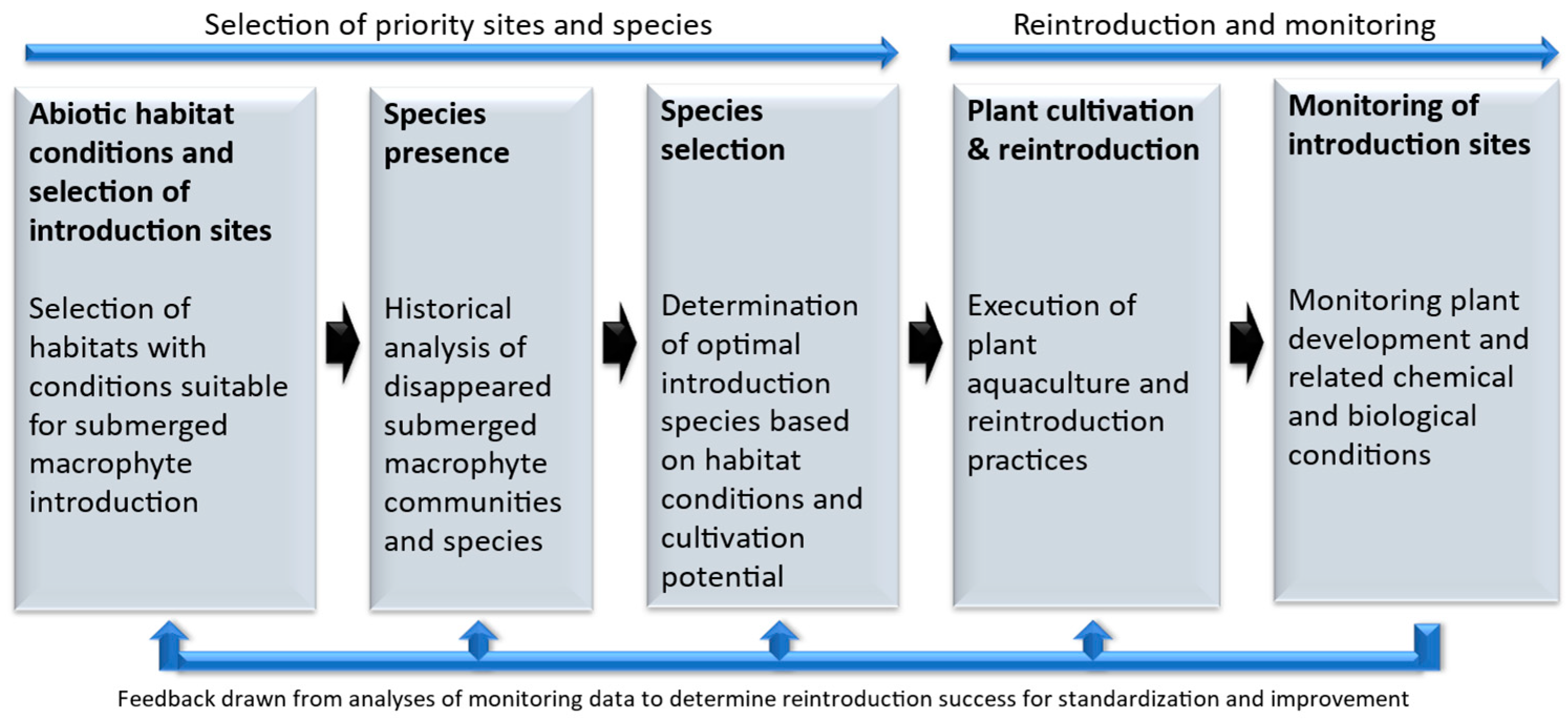Plants 13 01014 g002