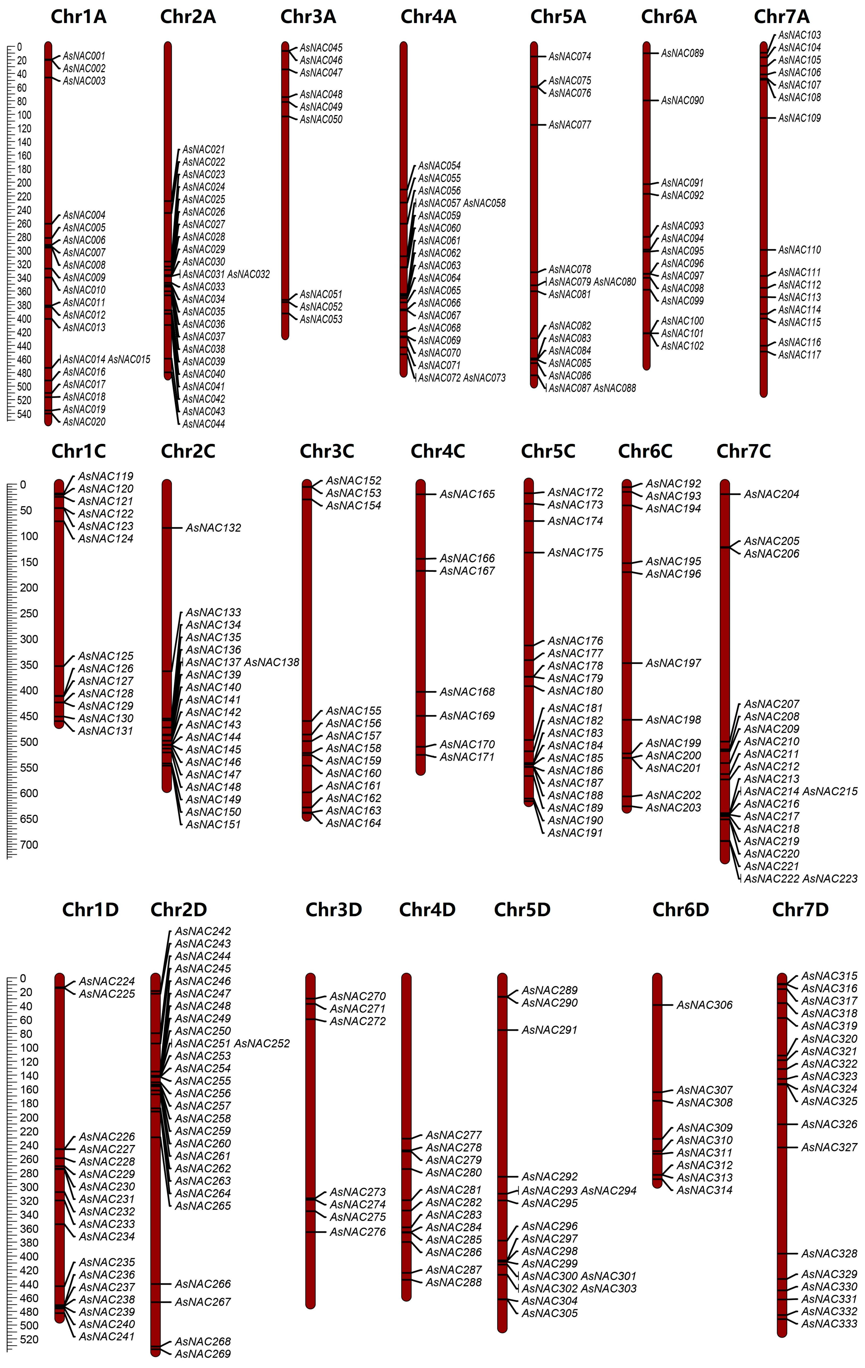 Plants 13 01017 g001