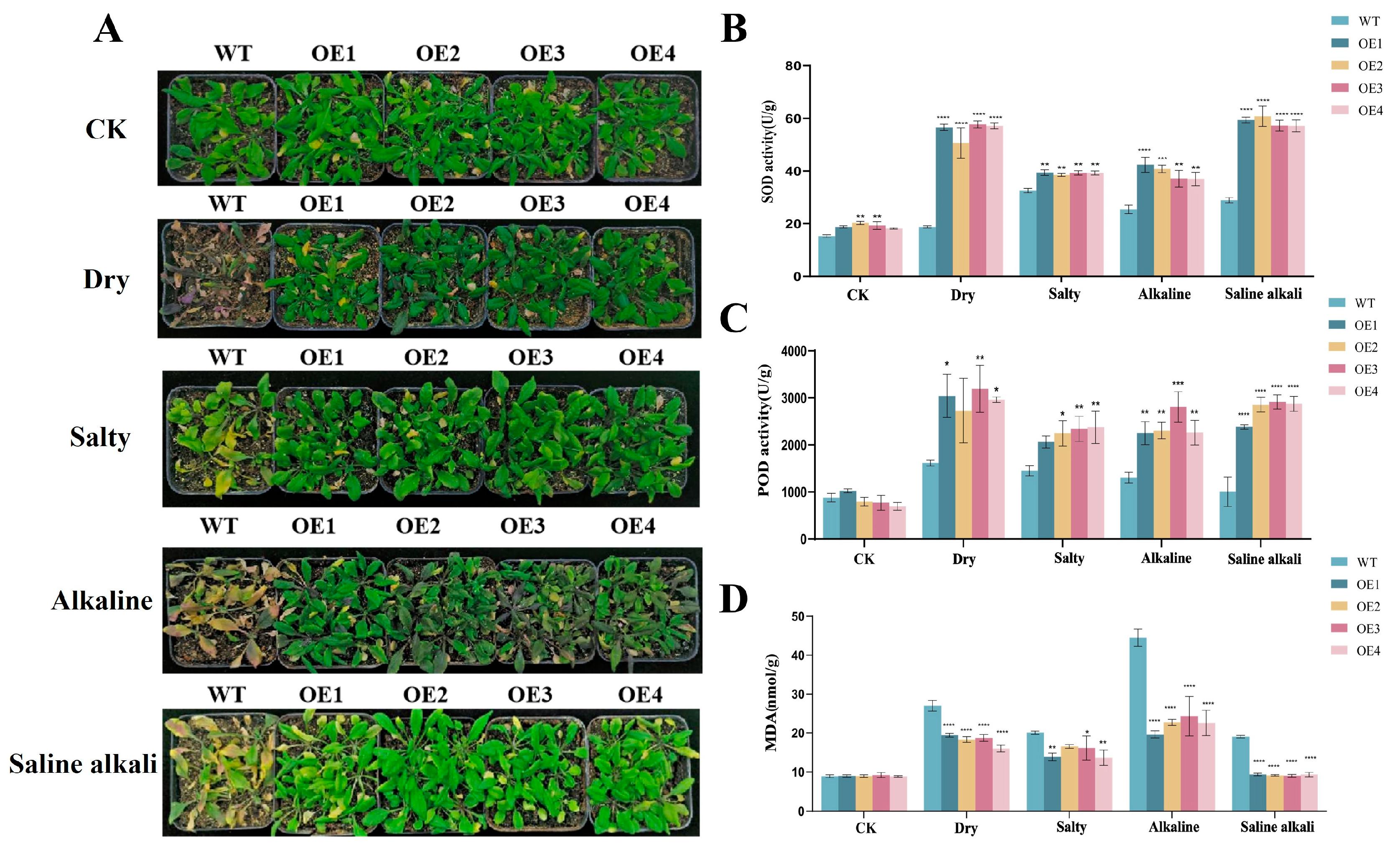 Plants 13 01017 g005