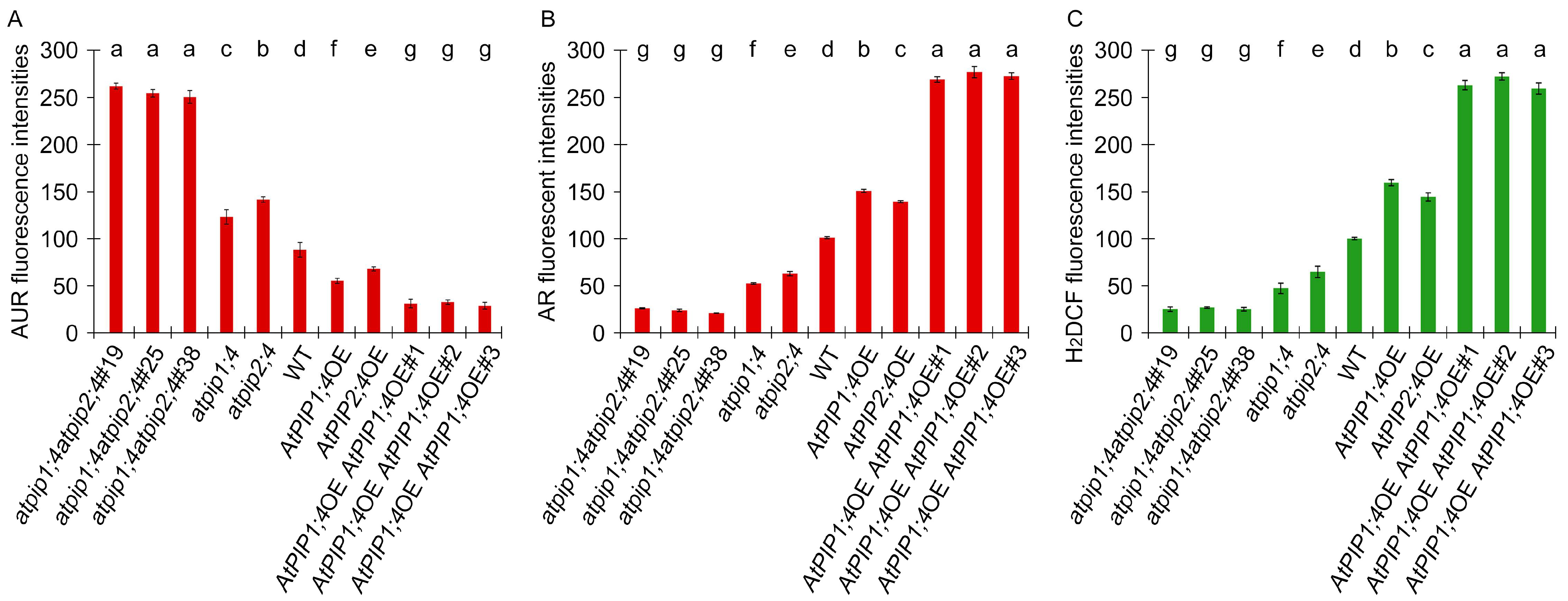 Plants 13 01018 g004