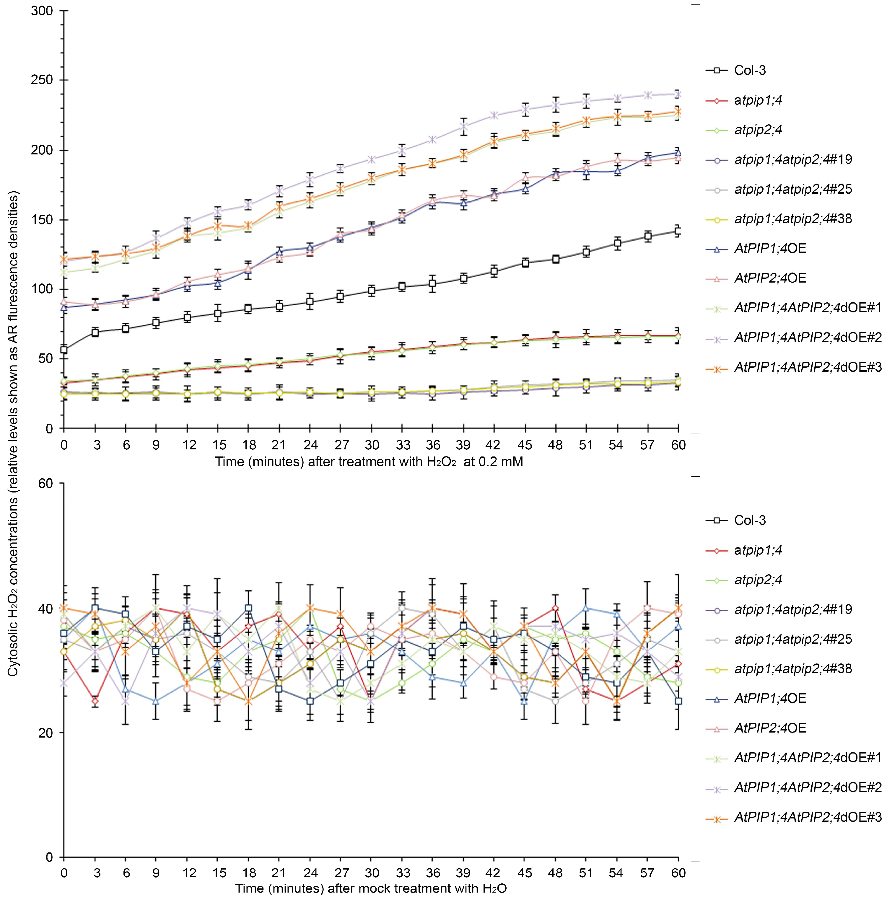 Plants 13 01018 g005