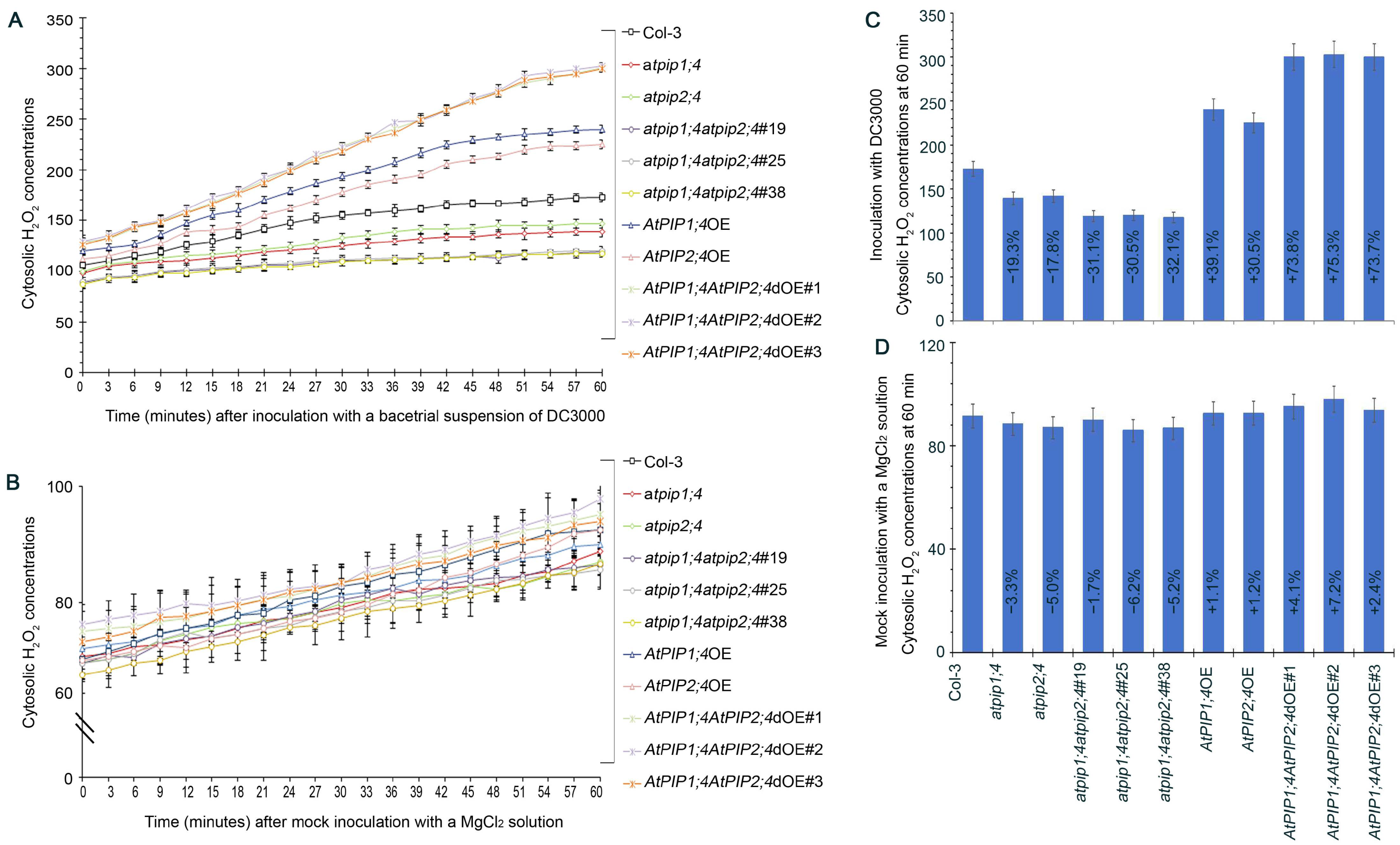 Plants 13 01018 g006