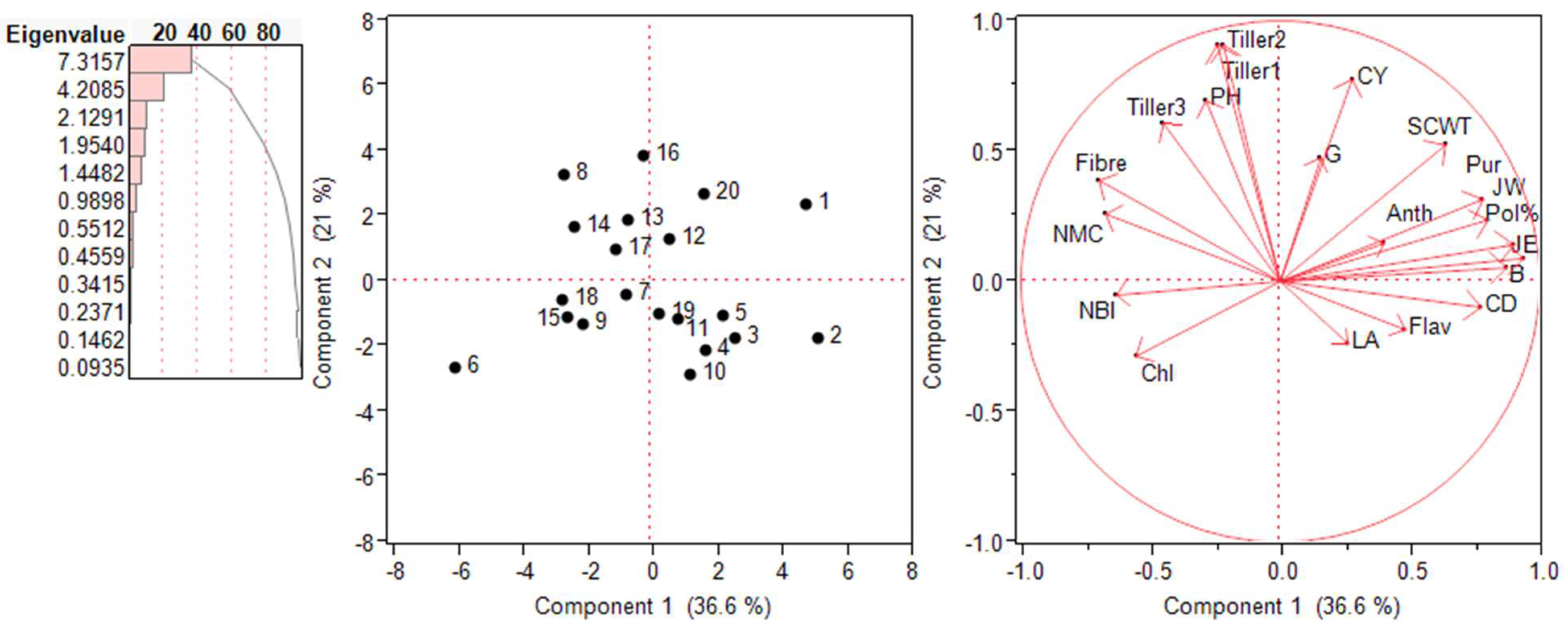 Plants 13 01023 g006 Plants 13 01023 g006