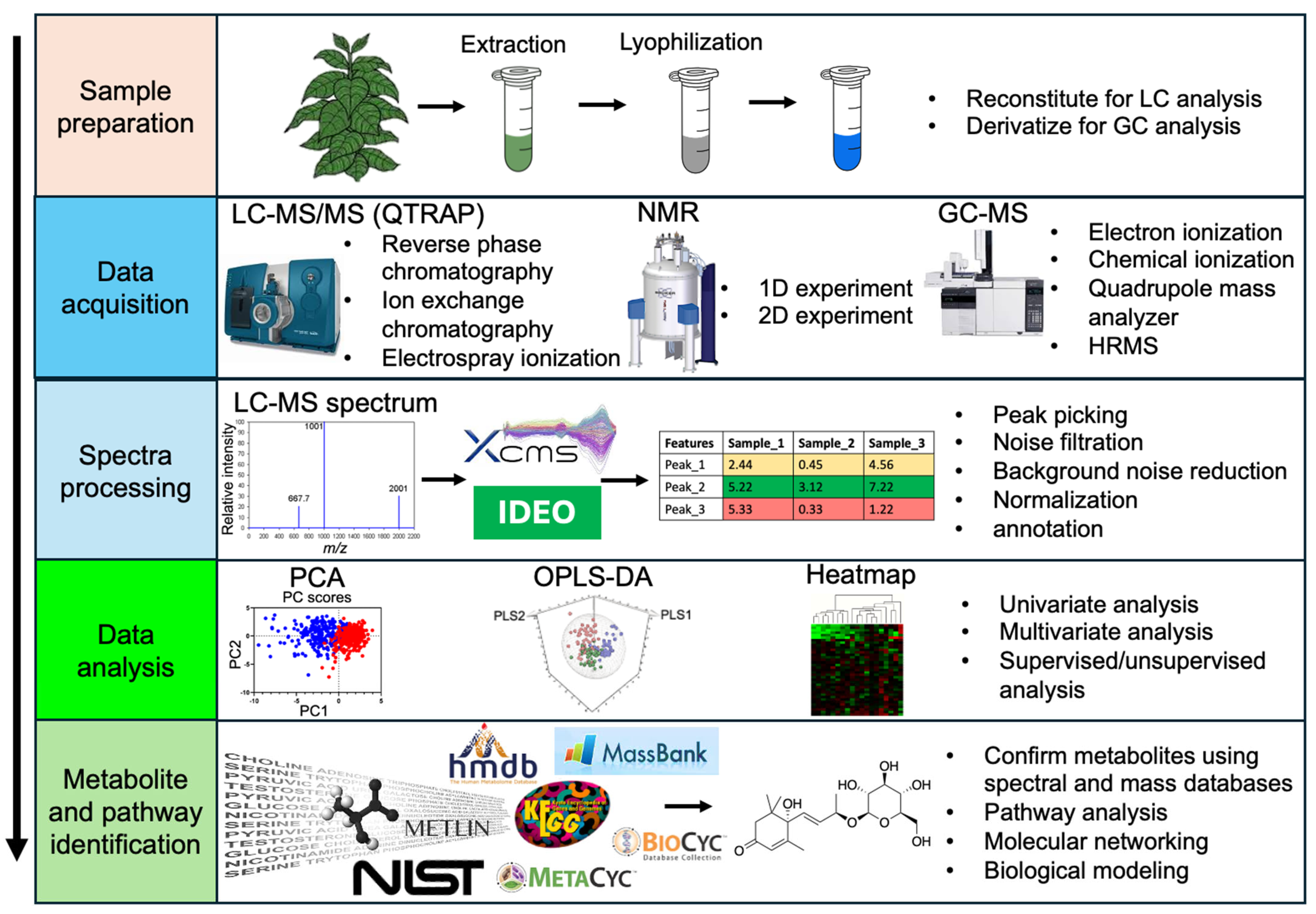 Plants 13 01024 g004