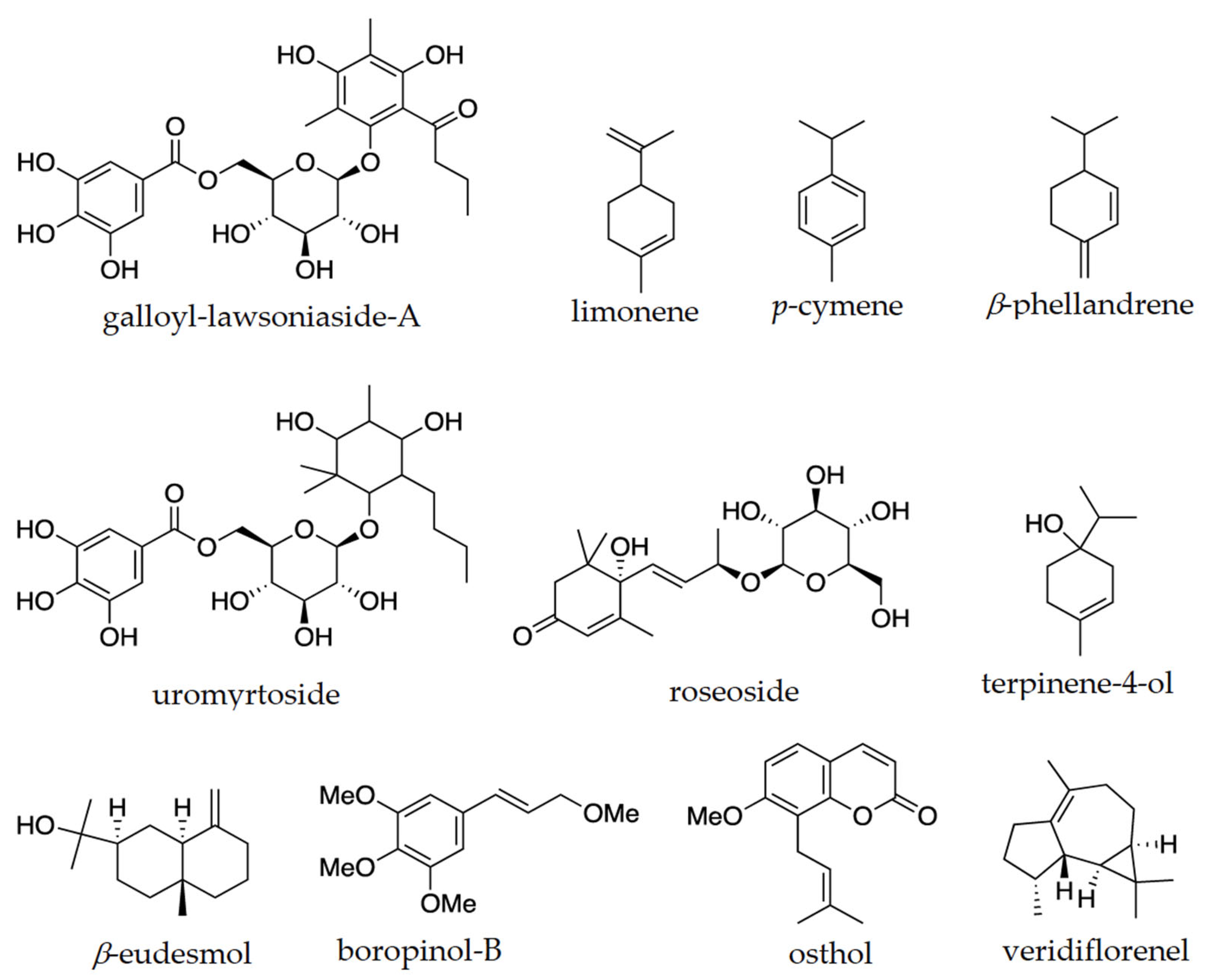 Plants 13 01024 g005