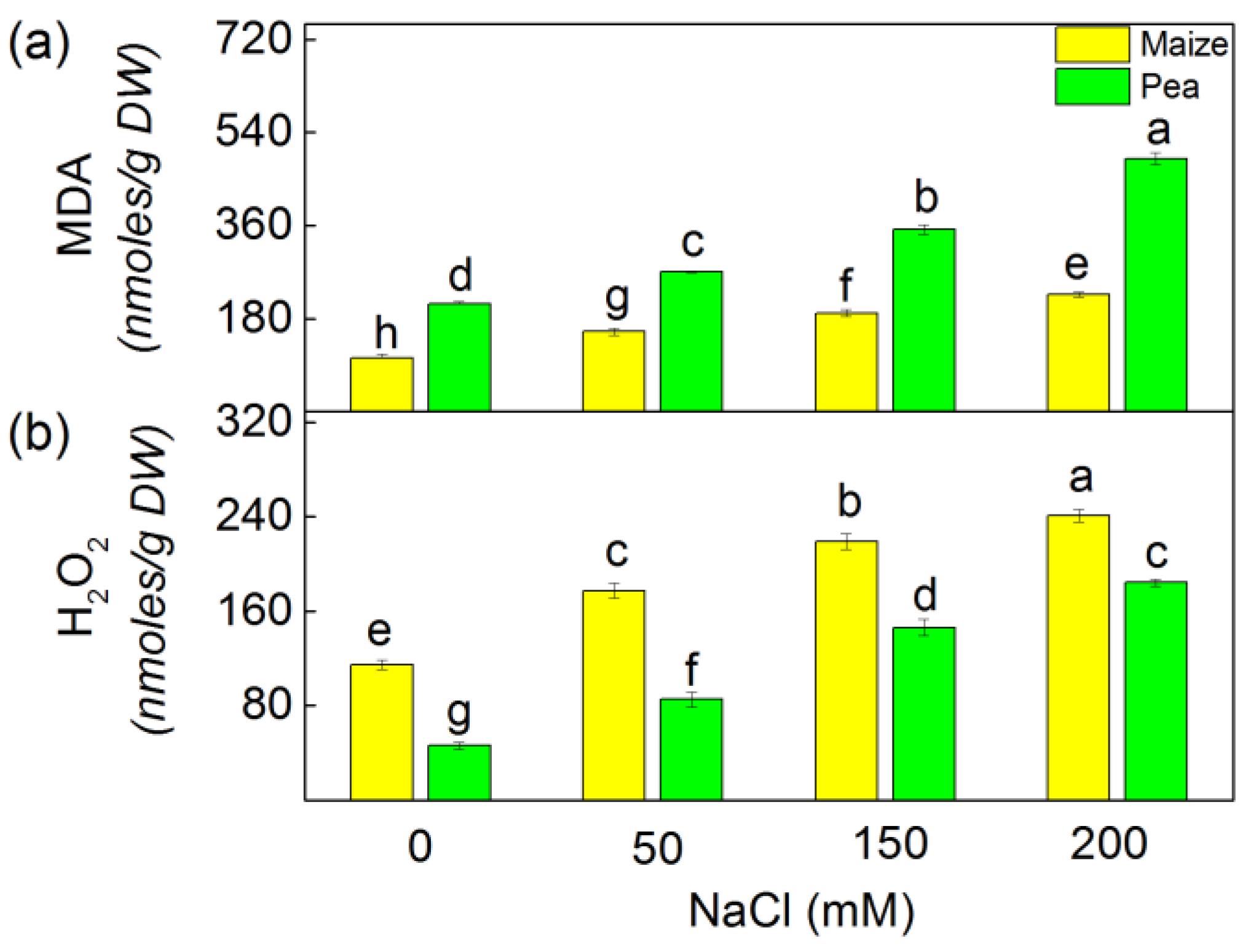 Plants 13 01025 g001