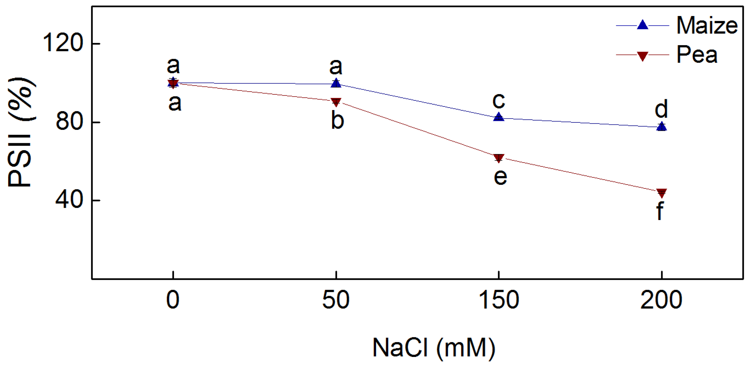 Plants 13 01025 g005