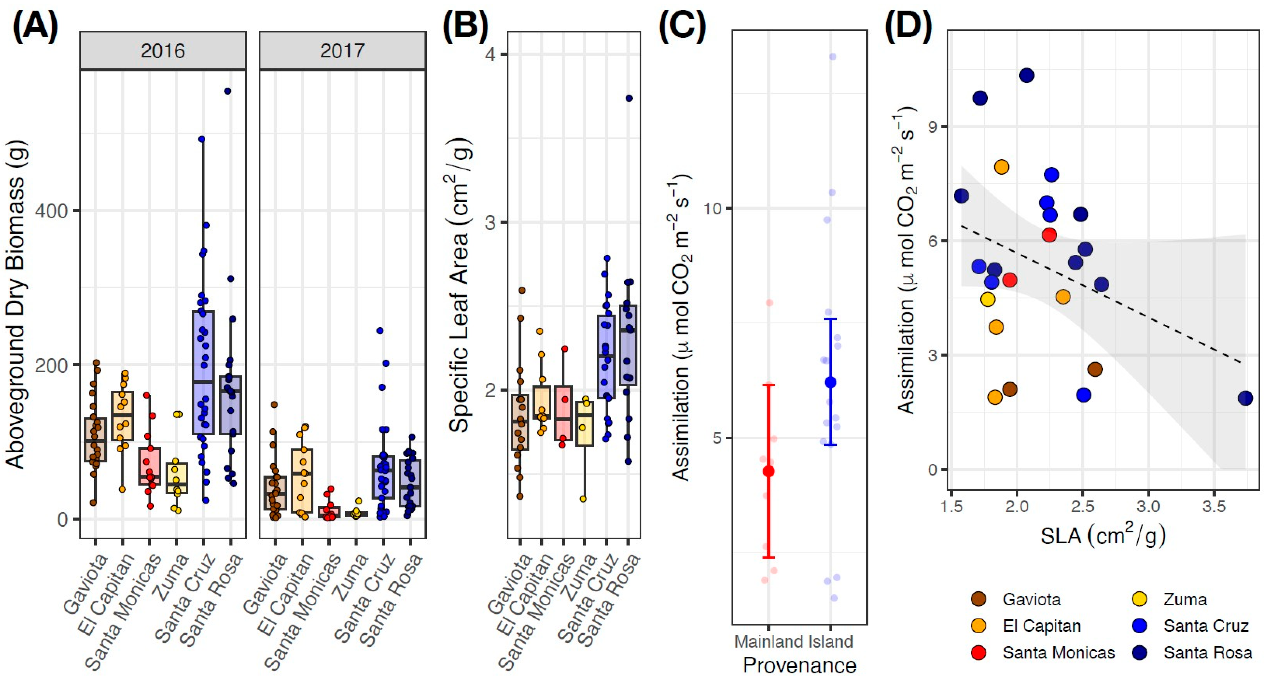 Plants 13 01026 g005