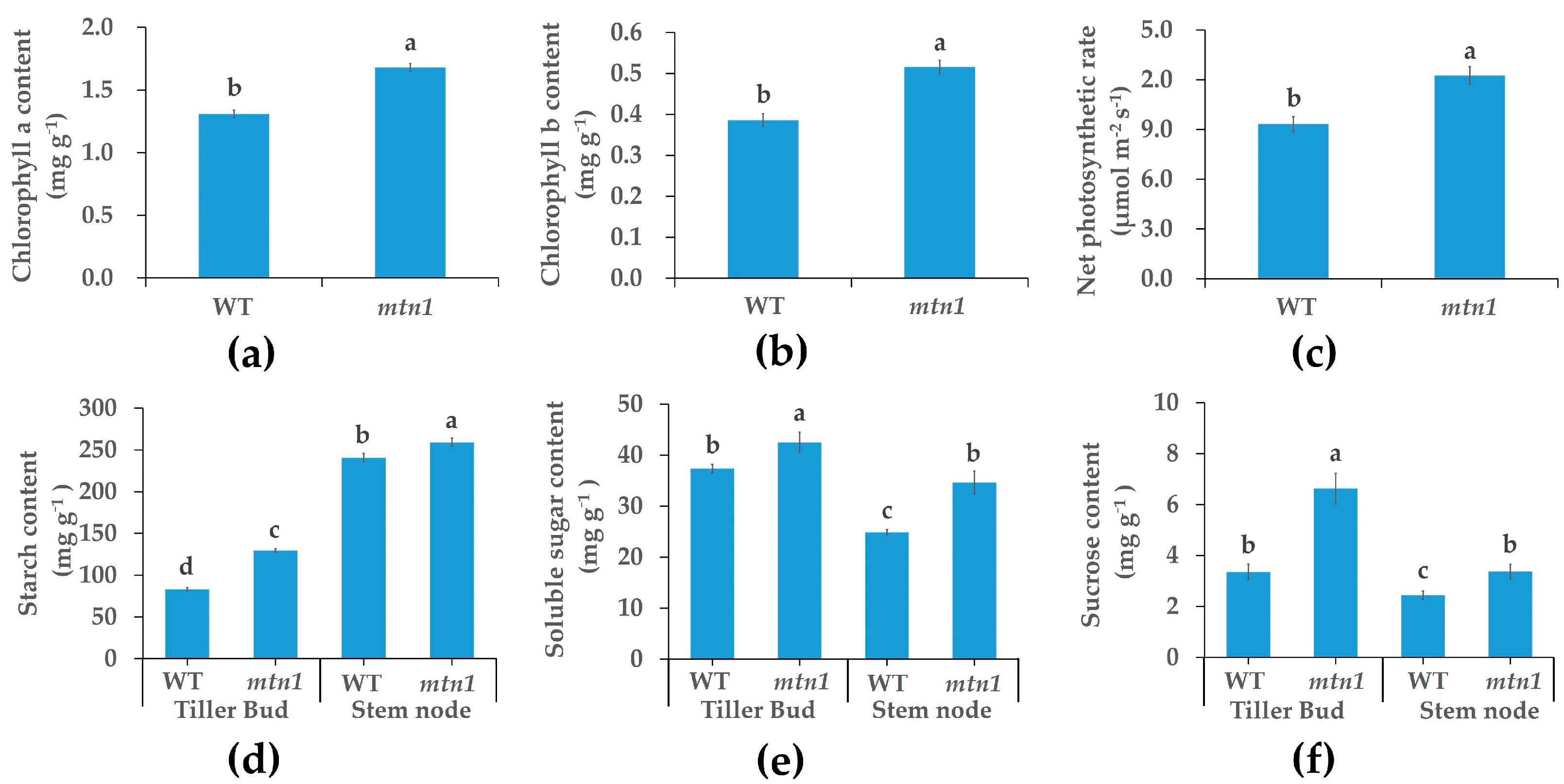 Plants 13 01028 g002