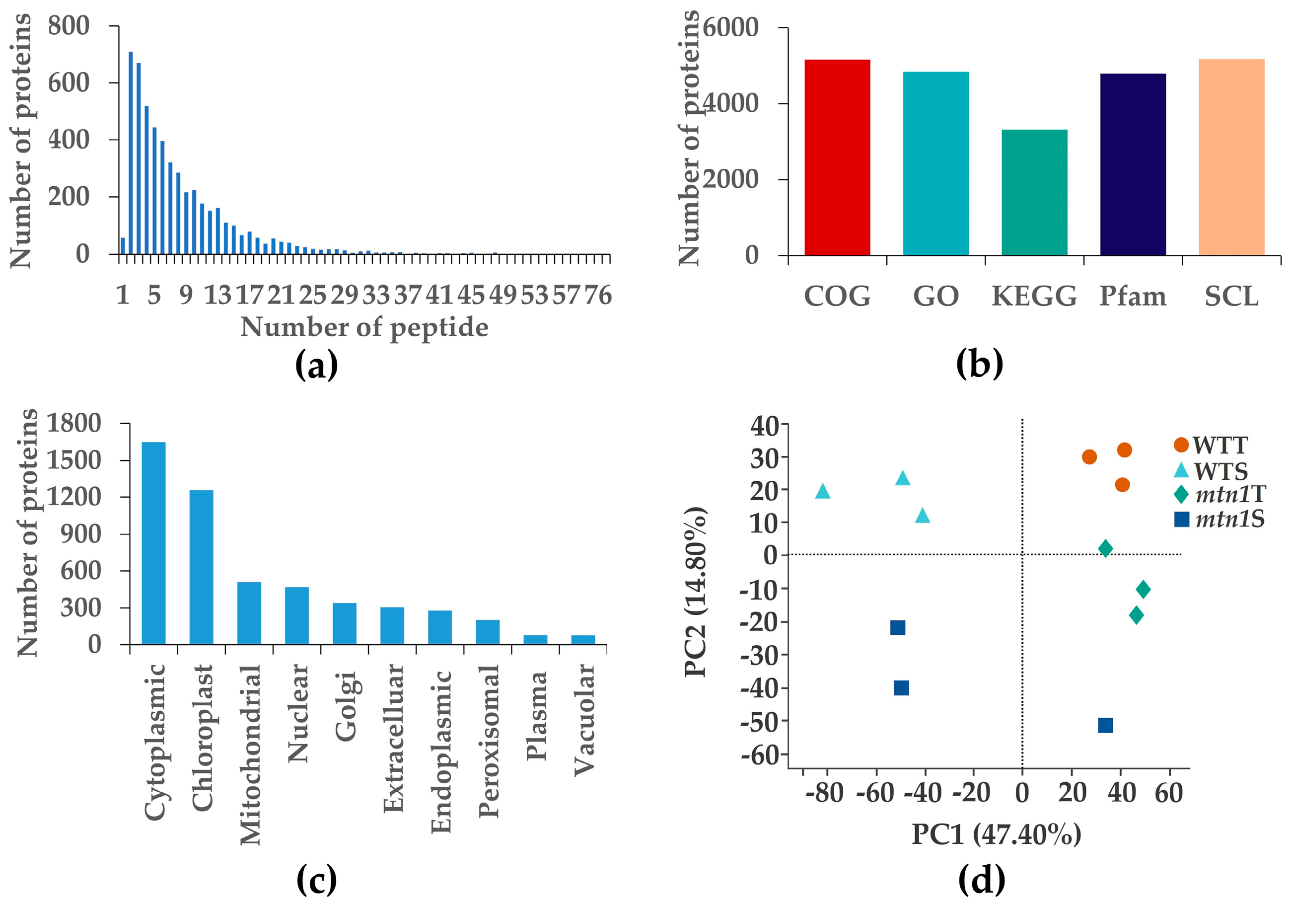 Plants 13 01028 g003
