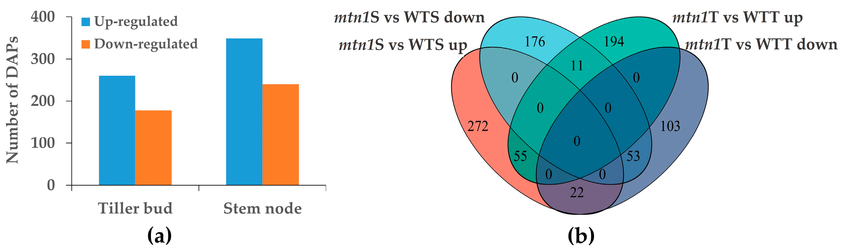 Plants 13 01028 g004