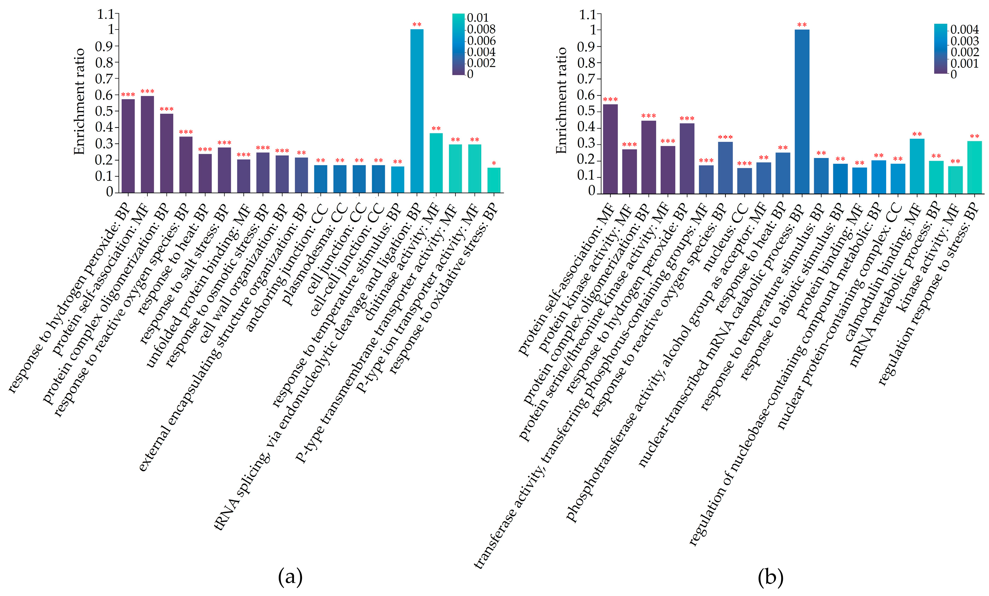 Plants 13 01028 g005