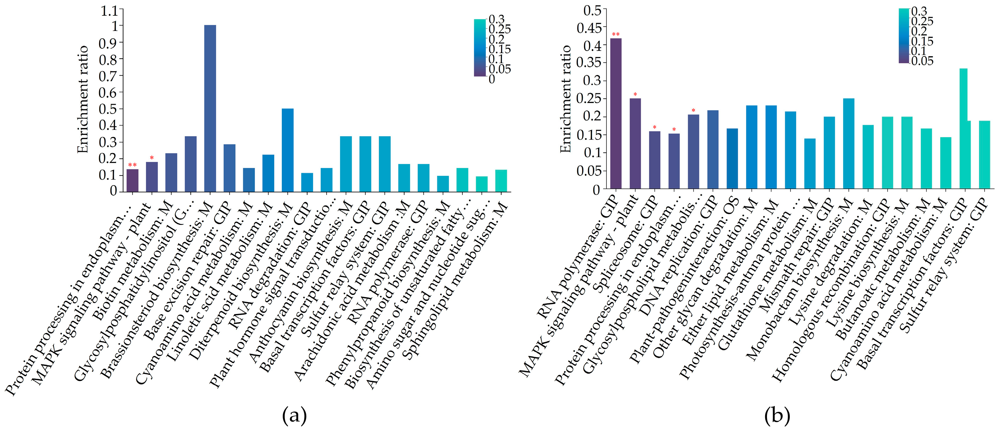 Plants 13 01028 g006