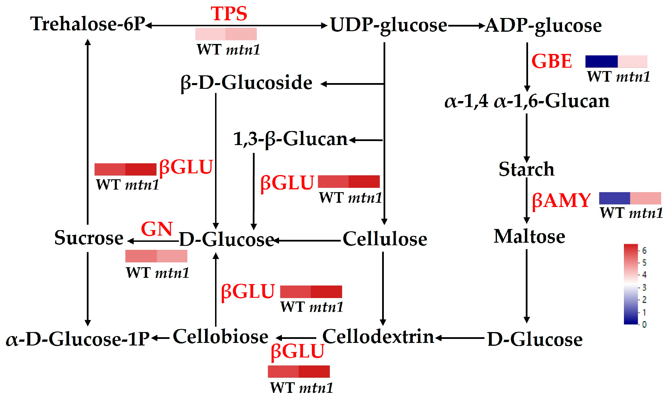 Plants 13 01028 g008