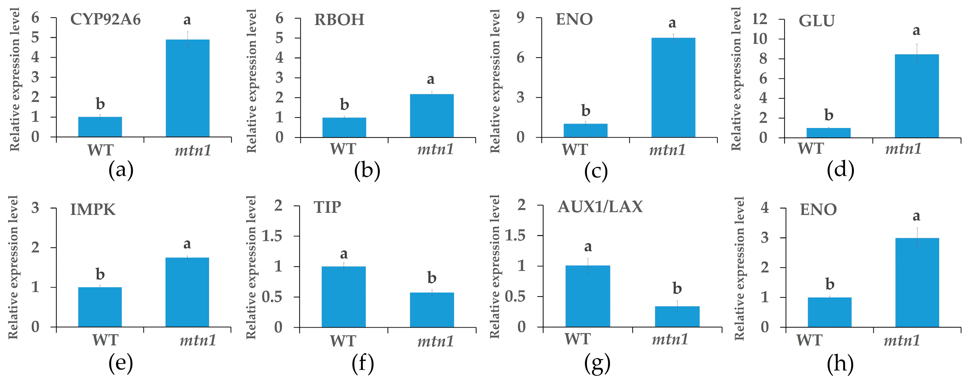 Plants 13 01028 g009