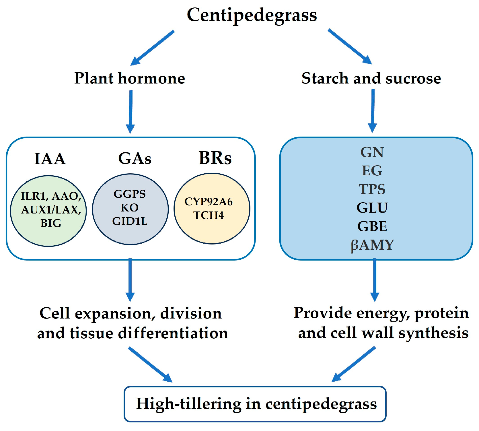 Plants 13 01028 g010