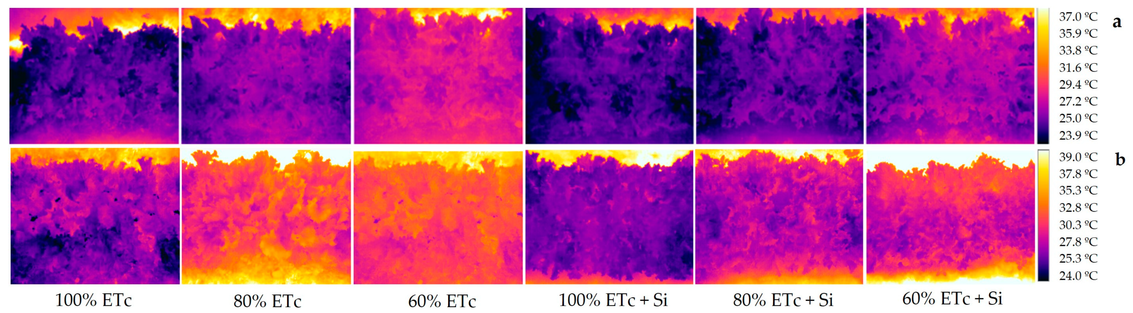 Plants 13 01029 g003
