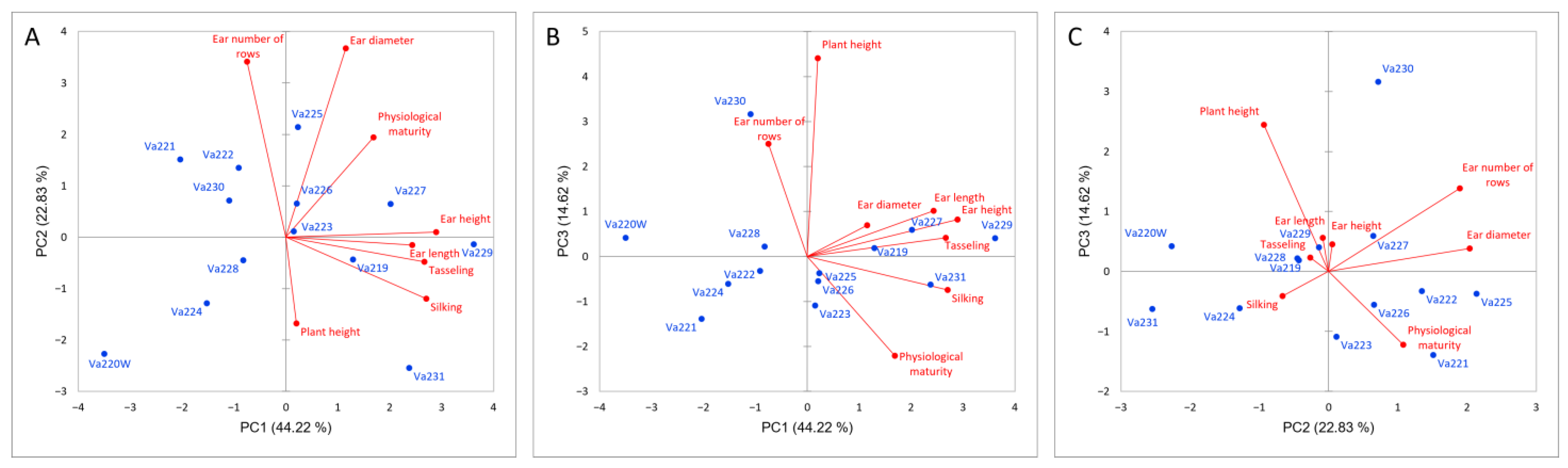 Plants 13 01030 g001