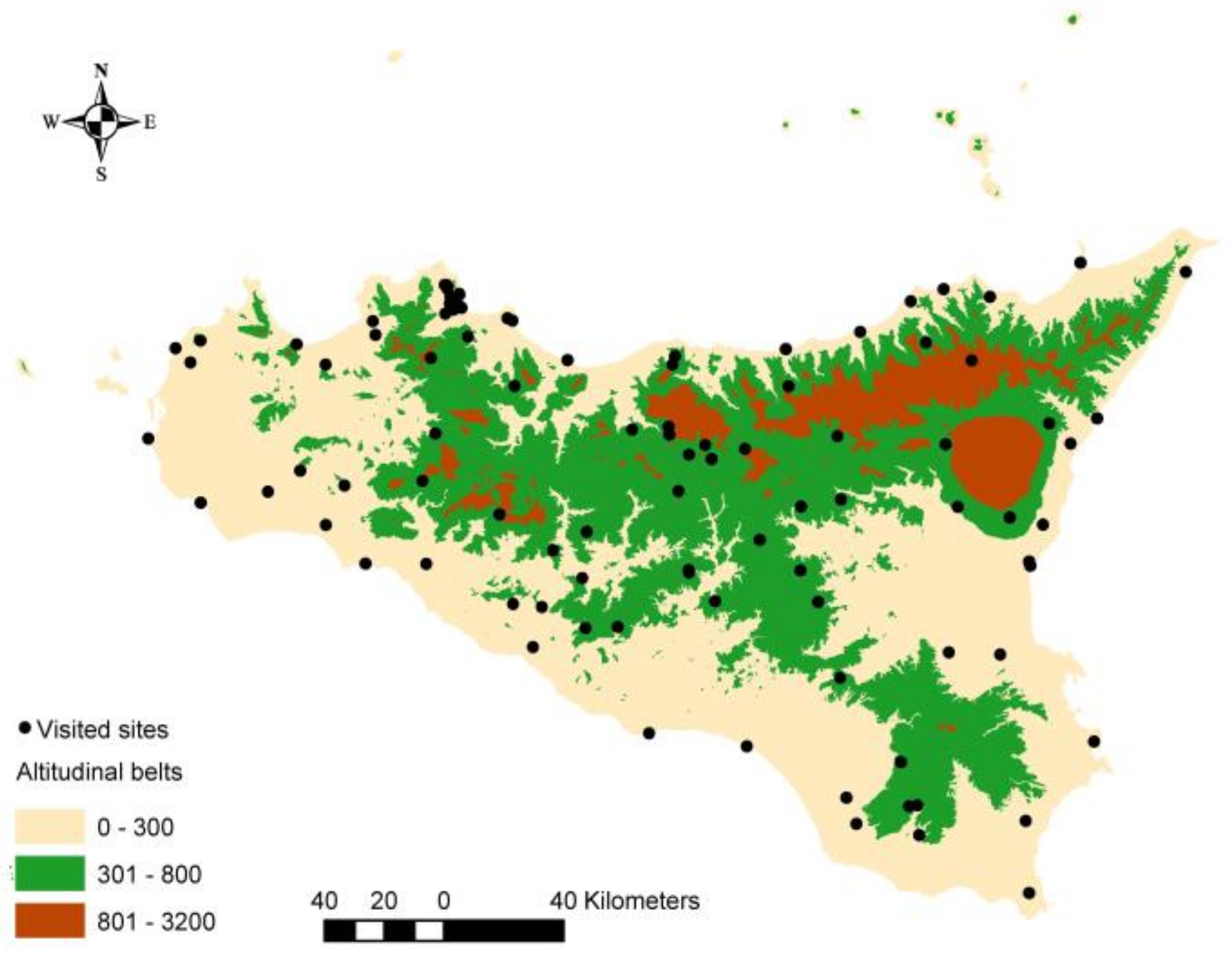 Plants 13 01031 g001