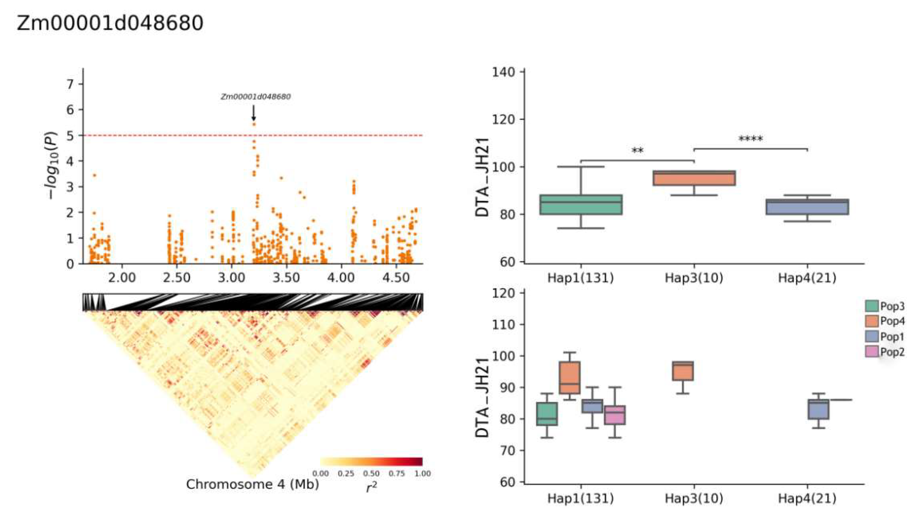 Plants 13 01032 g011