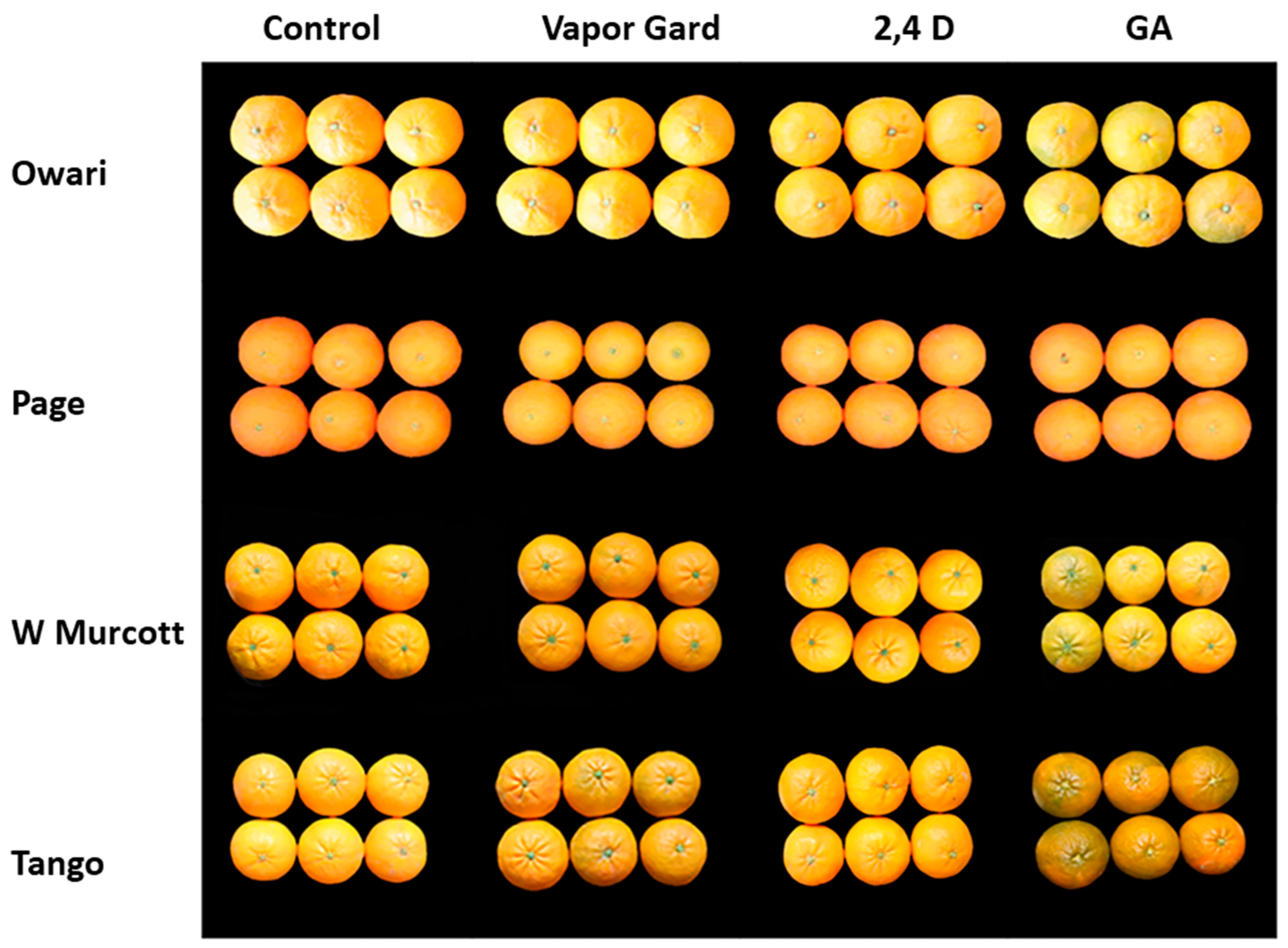 Plants 13 01040 g005