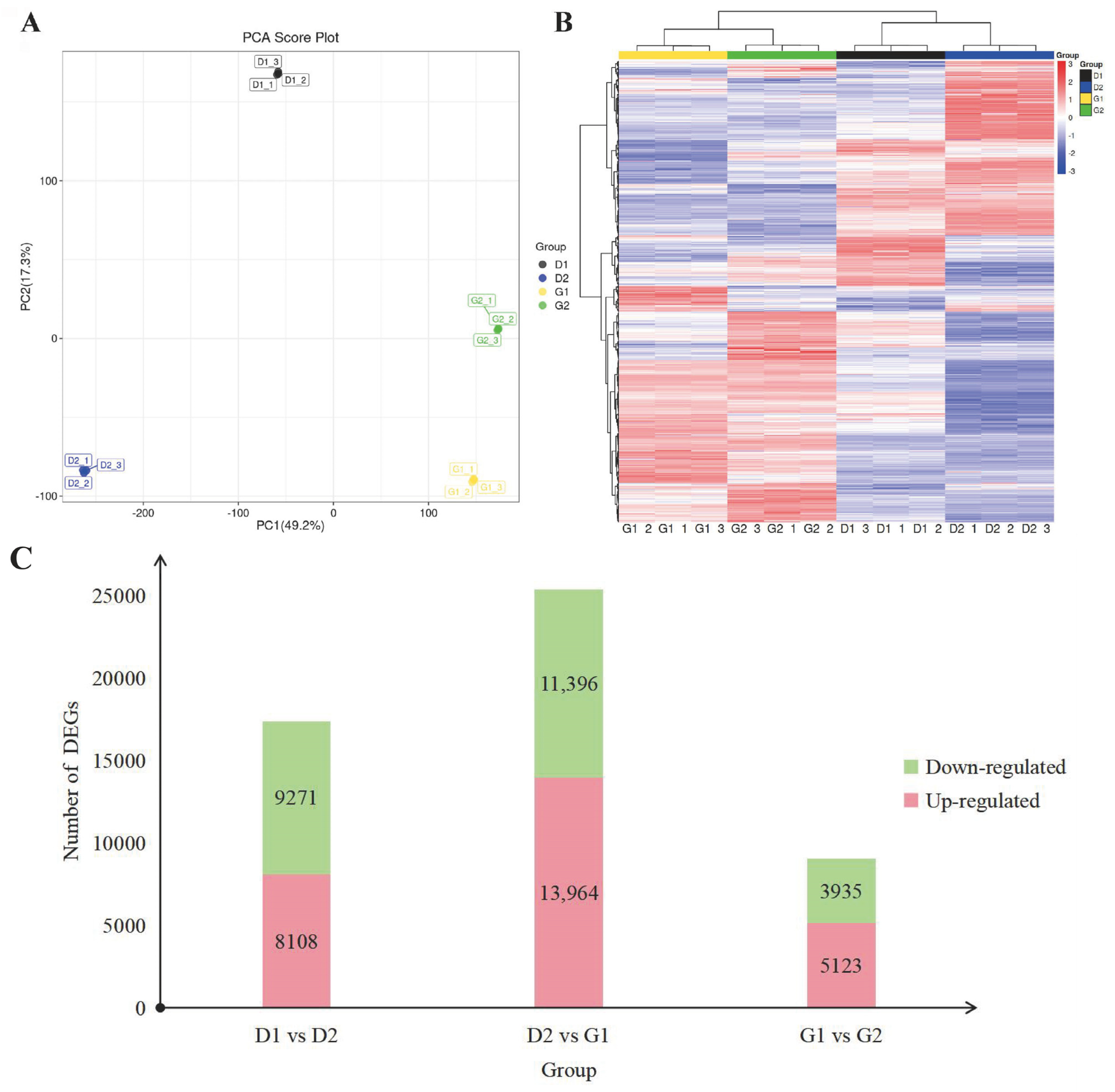 Plants 13 01041 g004
