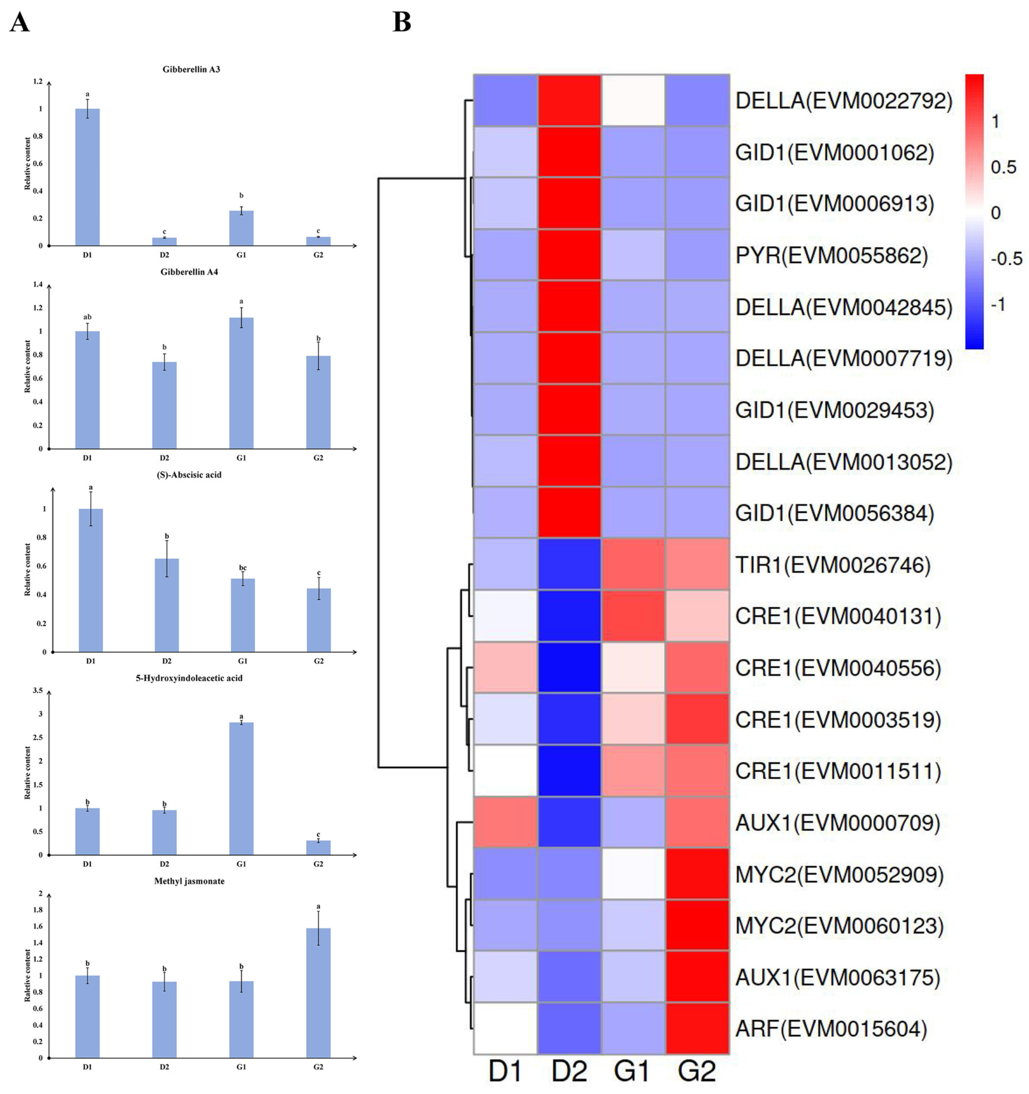Plants 13 01041 g006