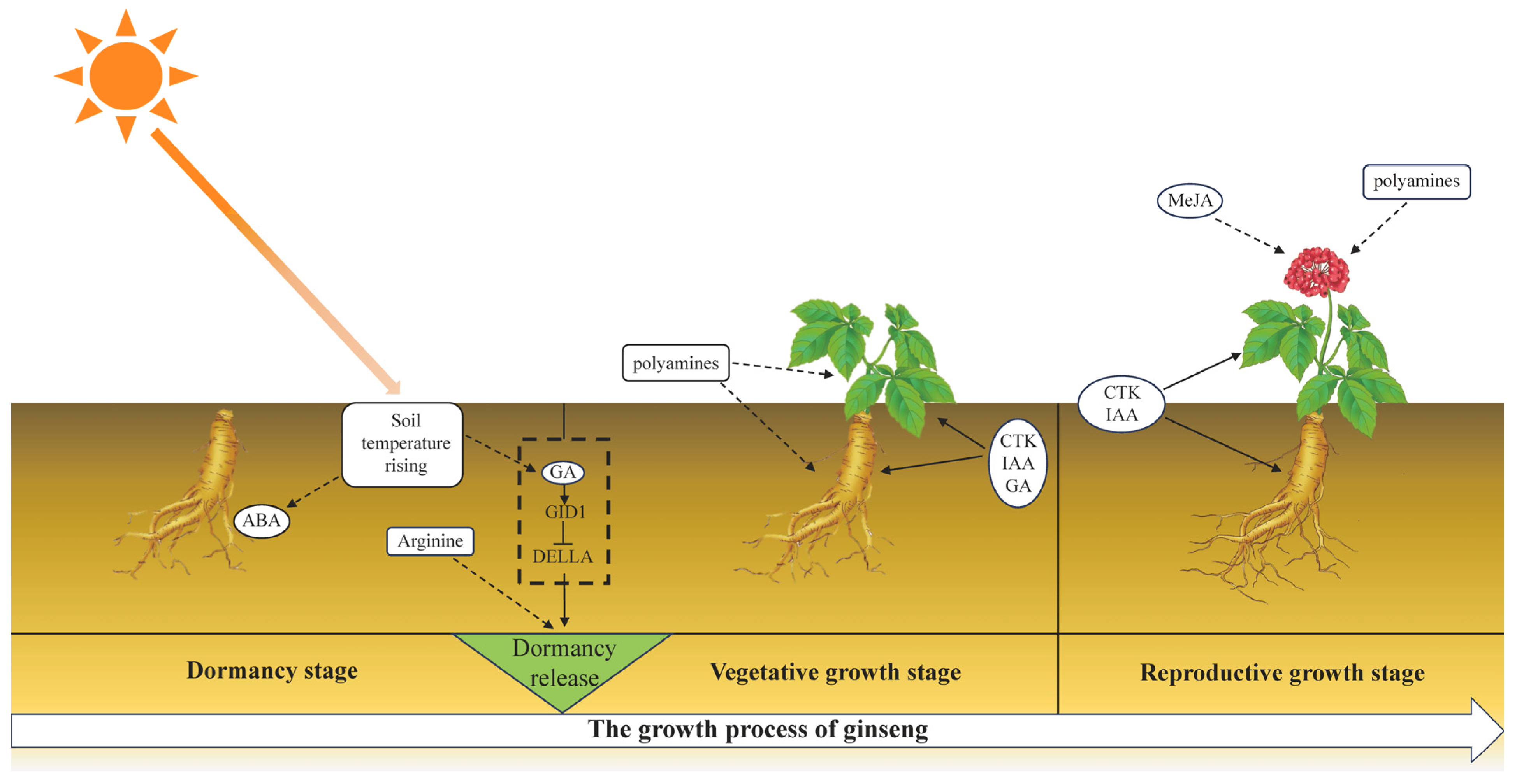 Plants 13 01041 g009