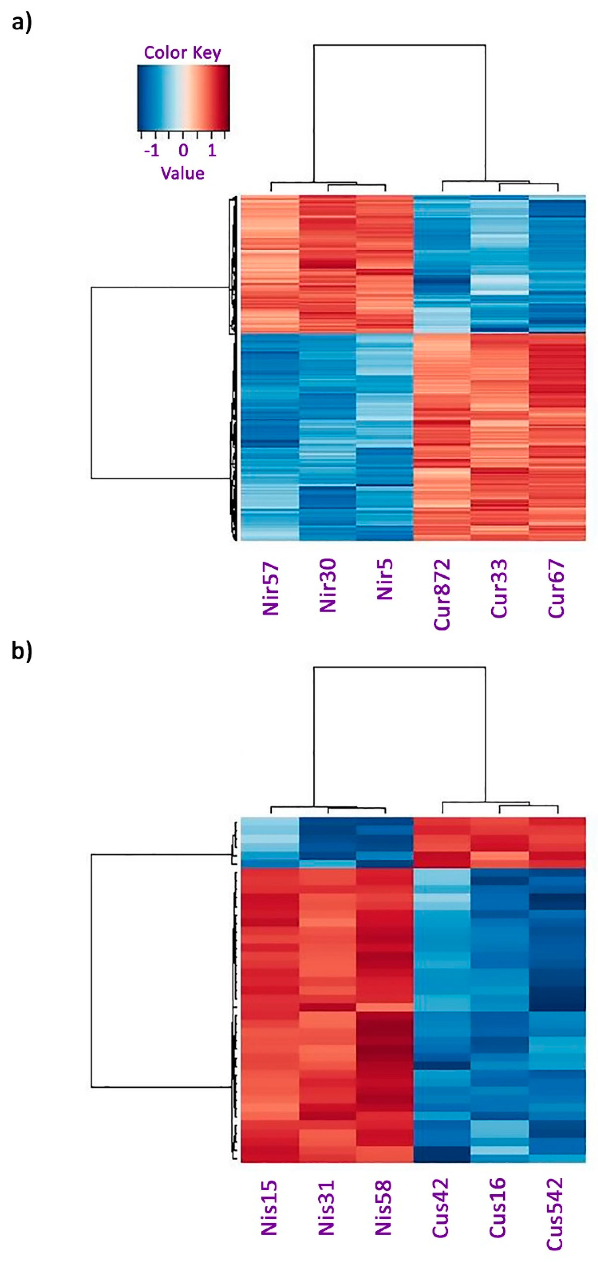 Plants 13 01042 g001