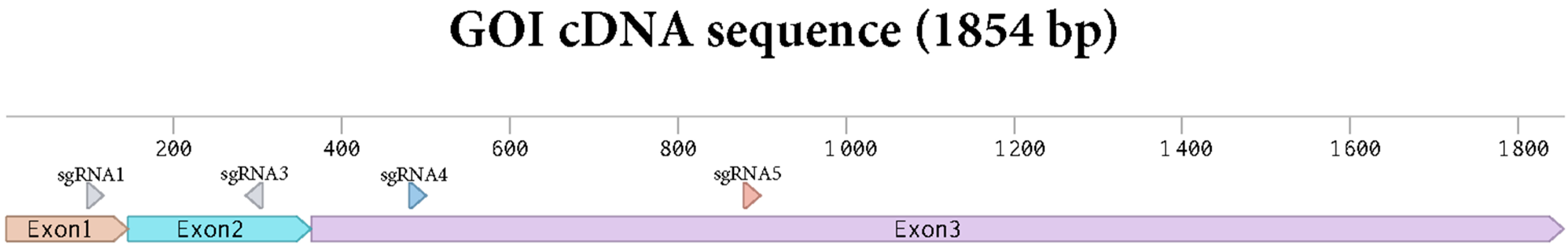 Plants 13 01044 g002