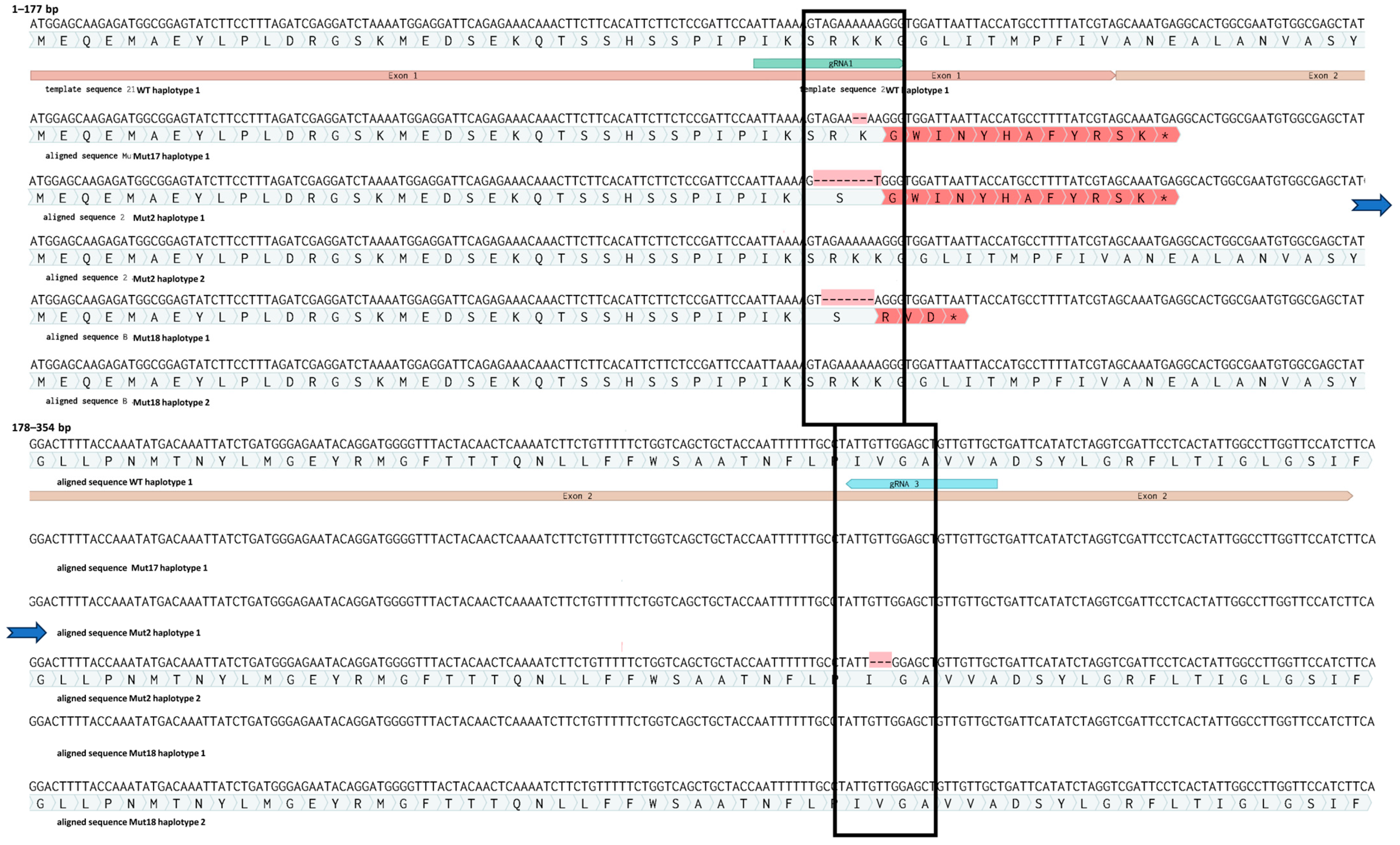 Plants 13 01044 g006
