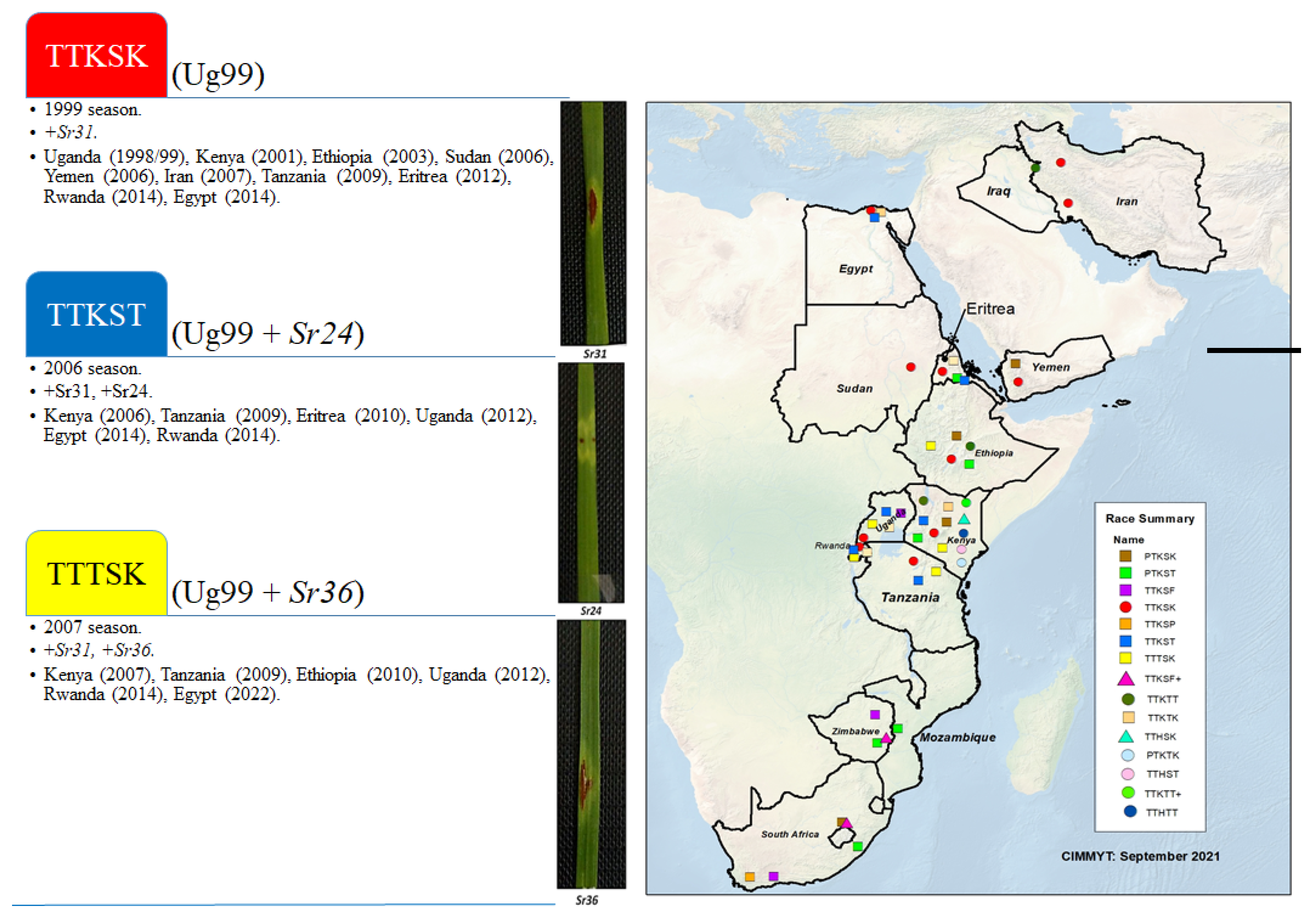 Plants 13 01045 g008