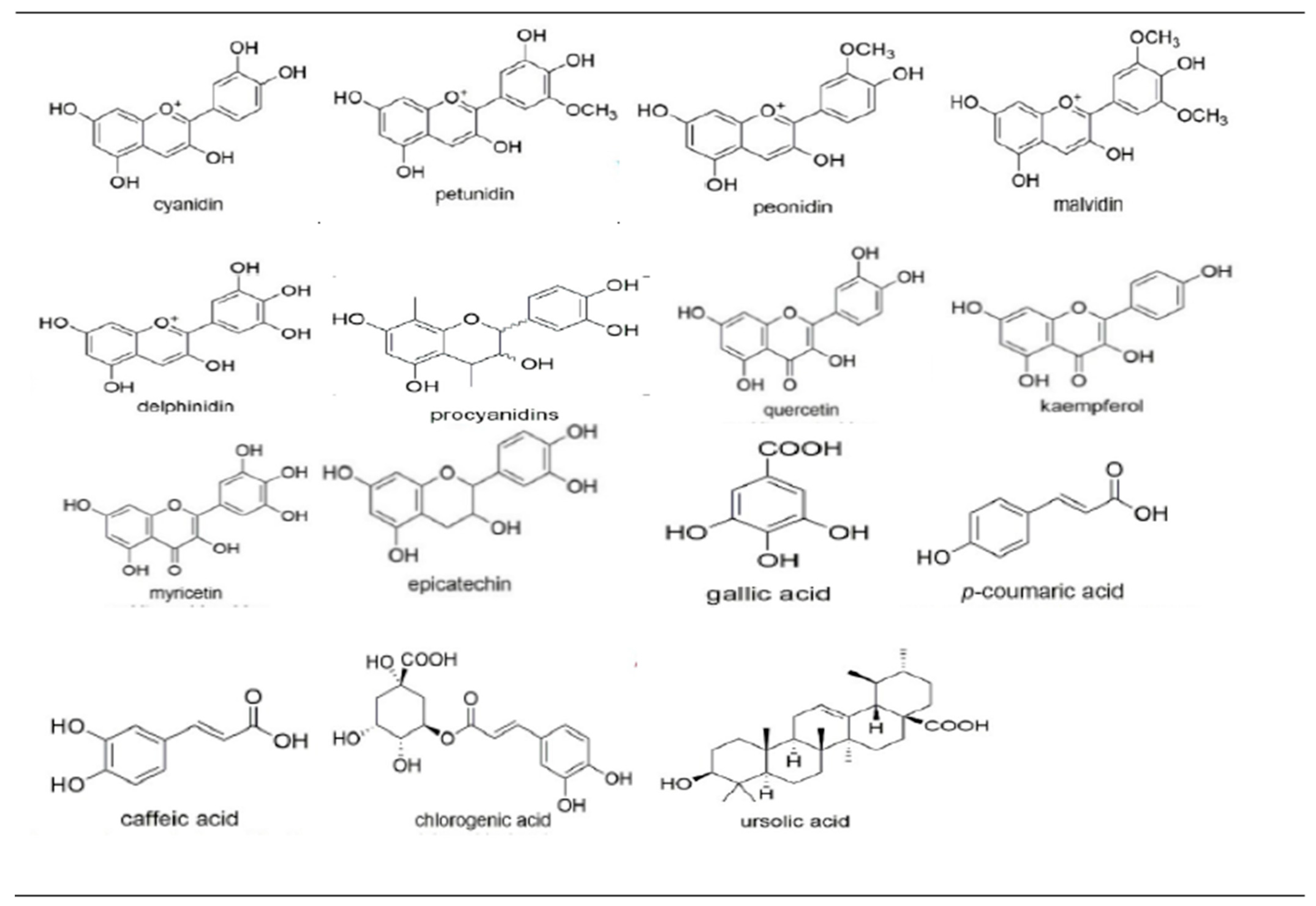 Plants 13 01047 g001