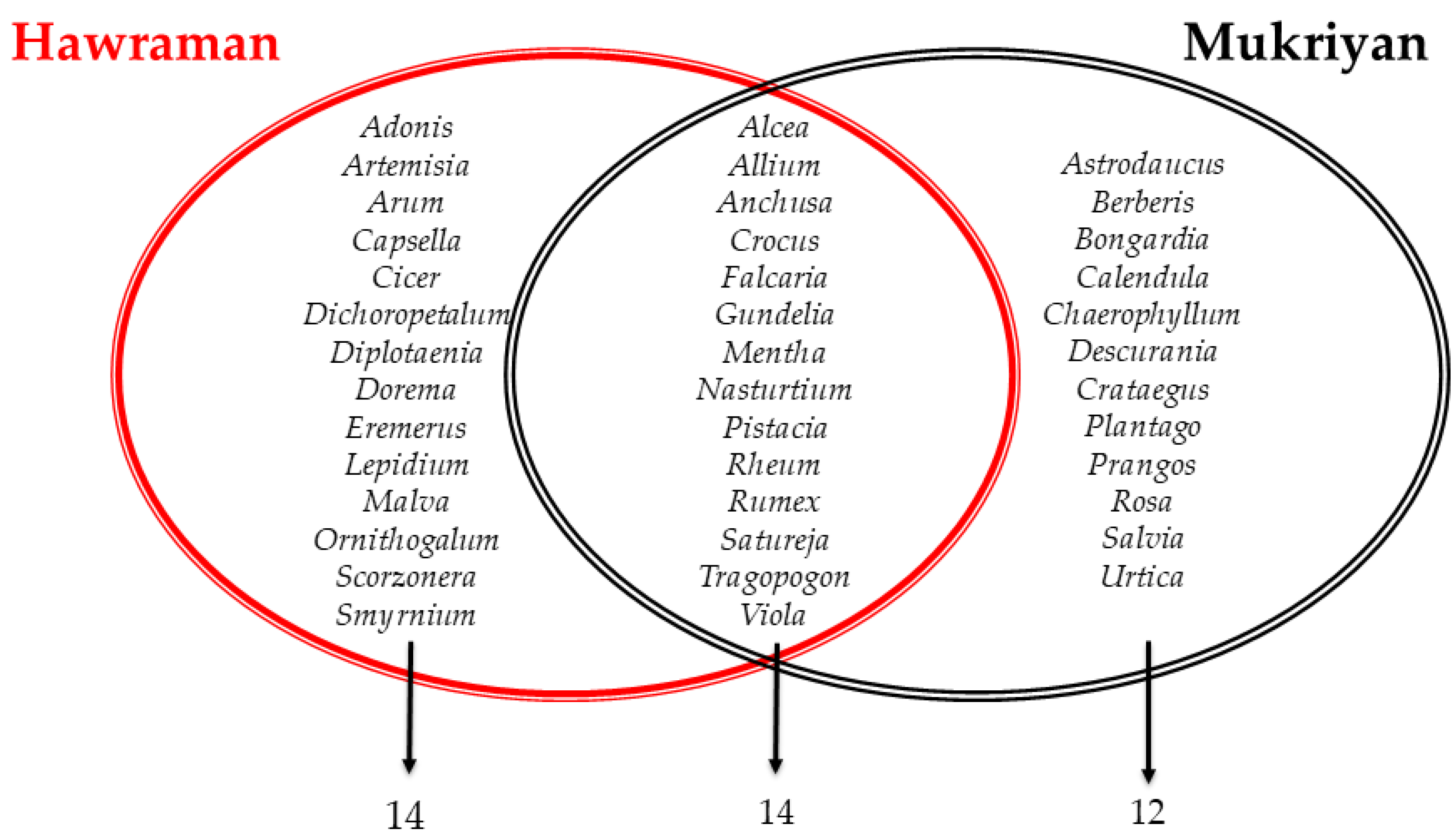 Plants 13 01048 g003