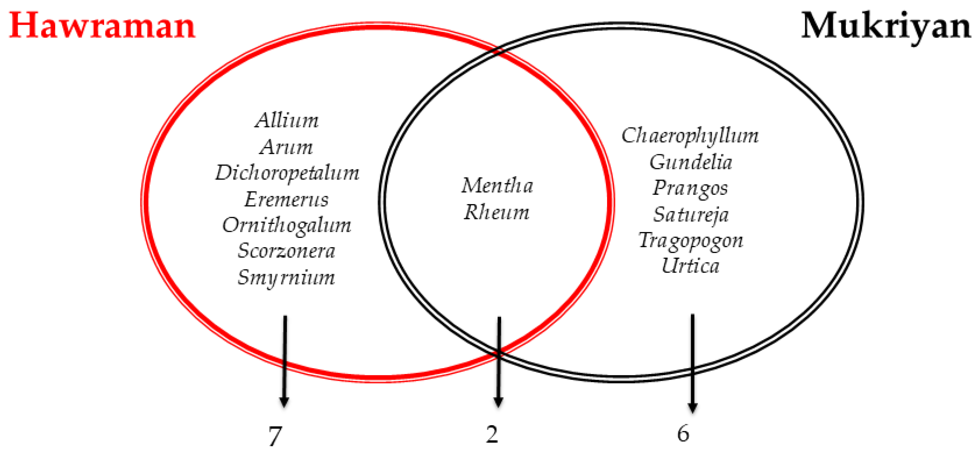 Plants 13 01048 g004