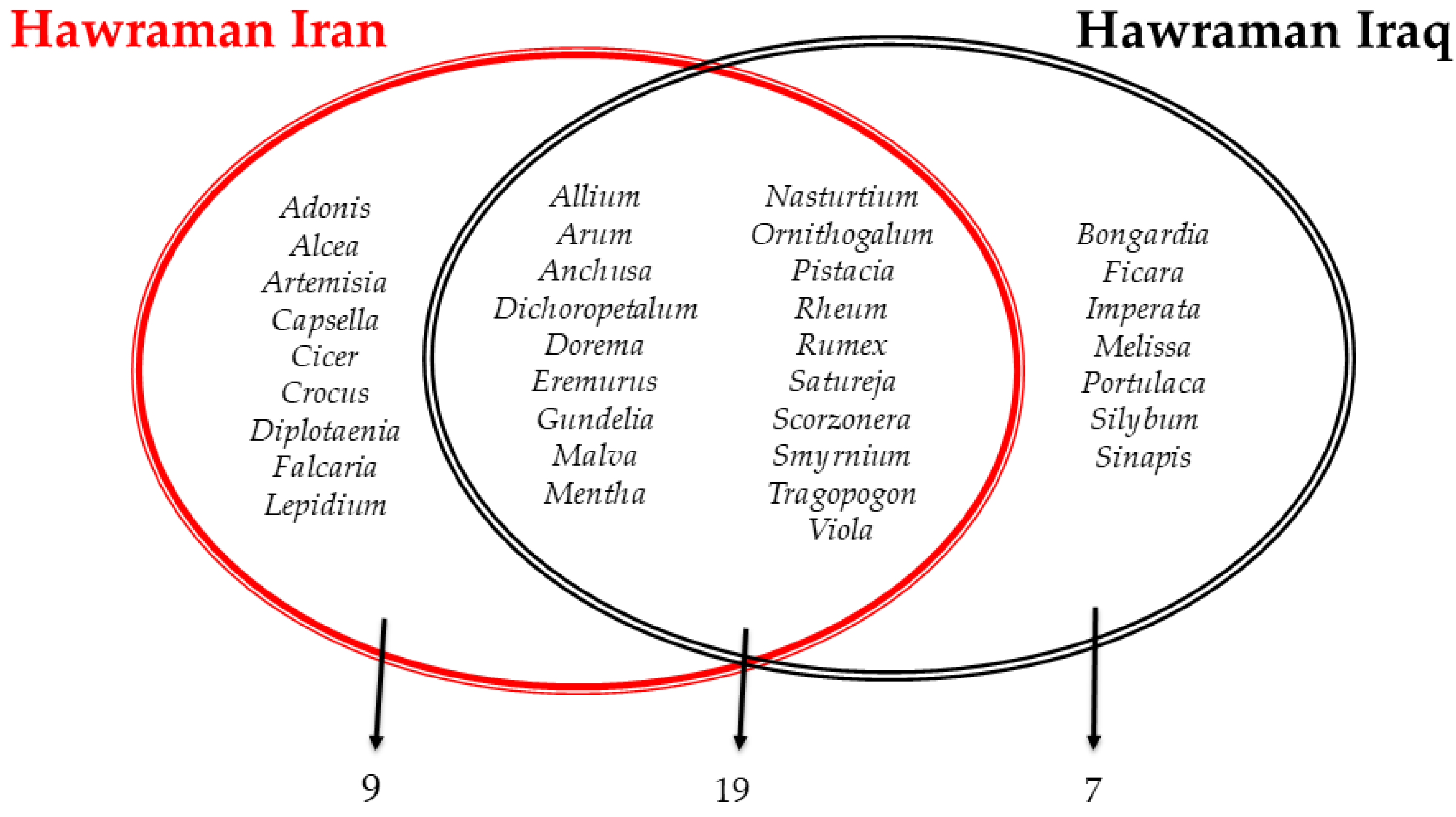 Plants 13 01048 g005