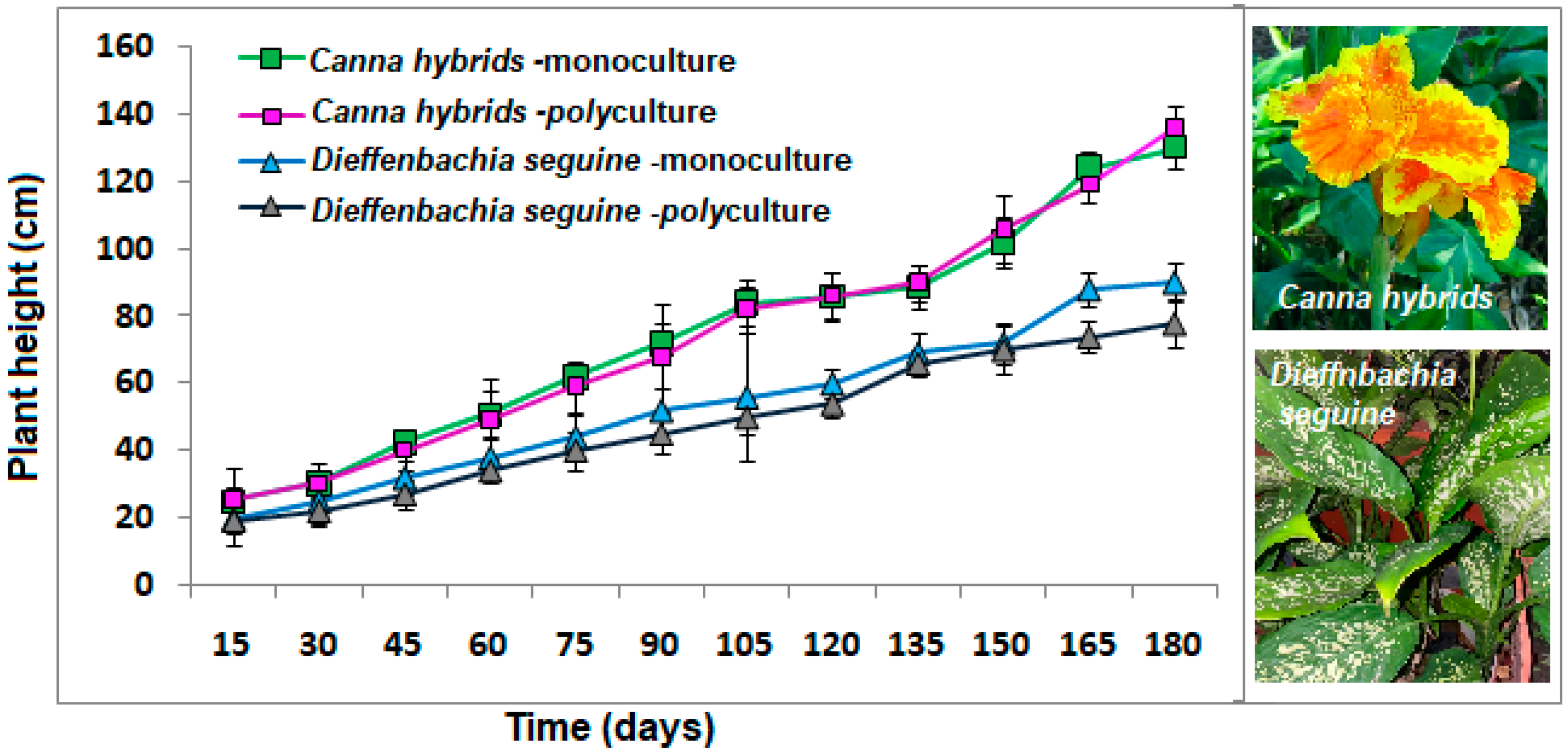 Plants 13 01051 g001