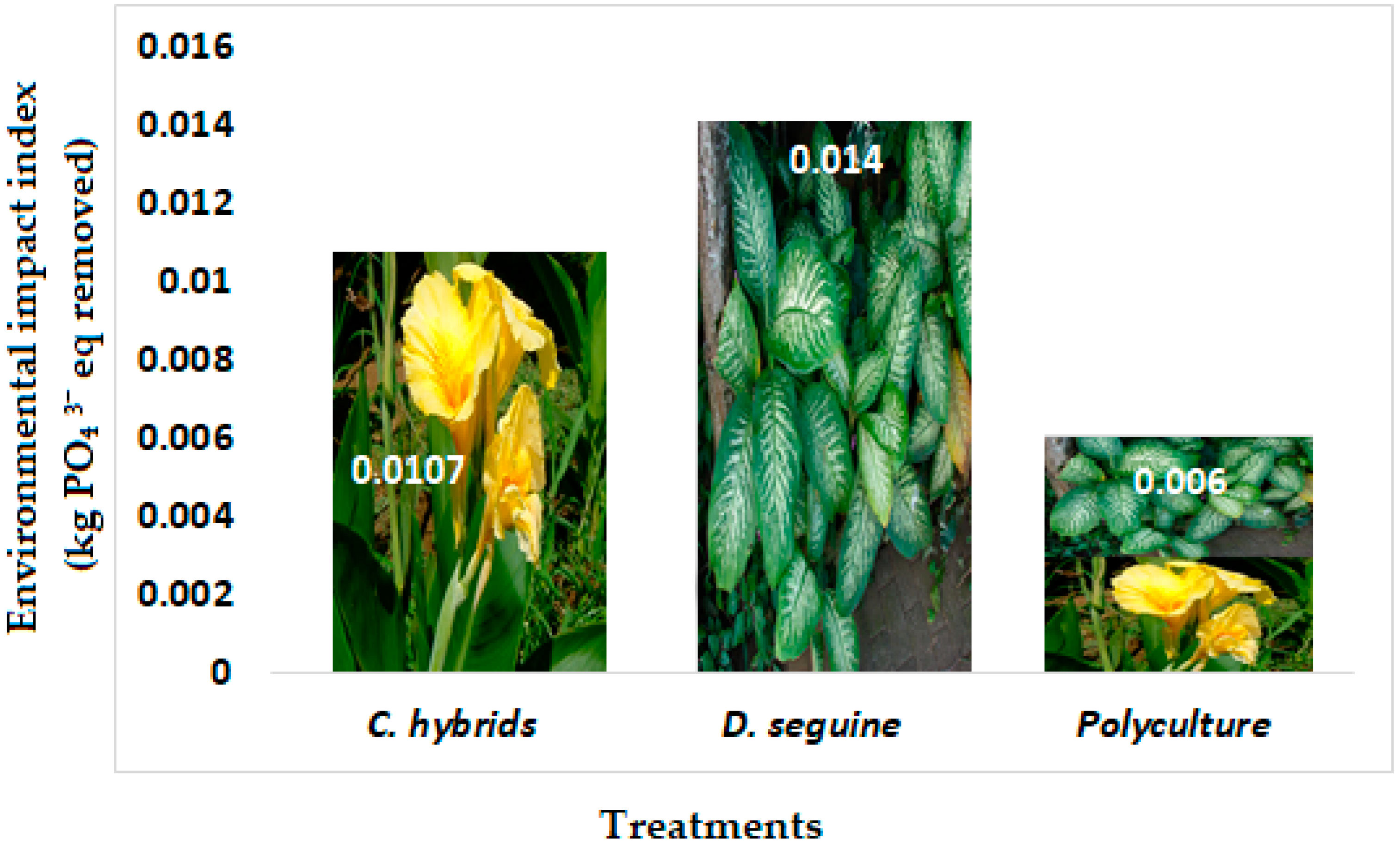 Plants 13 01051 g003