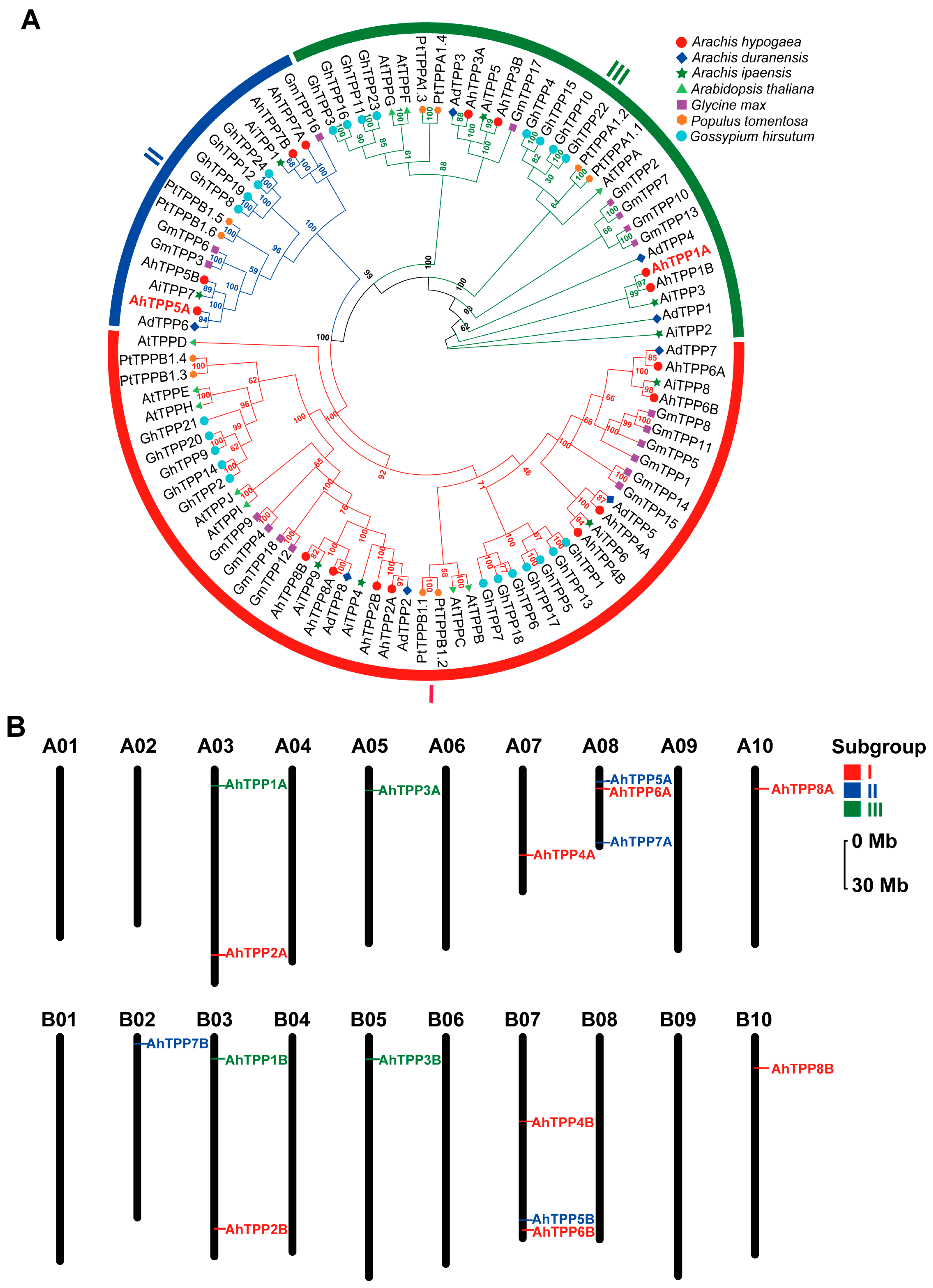 Plants 13 01056 g001