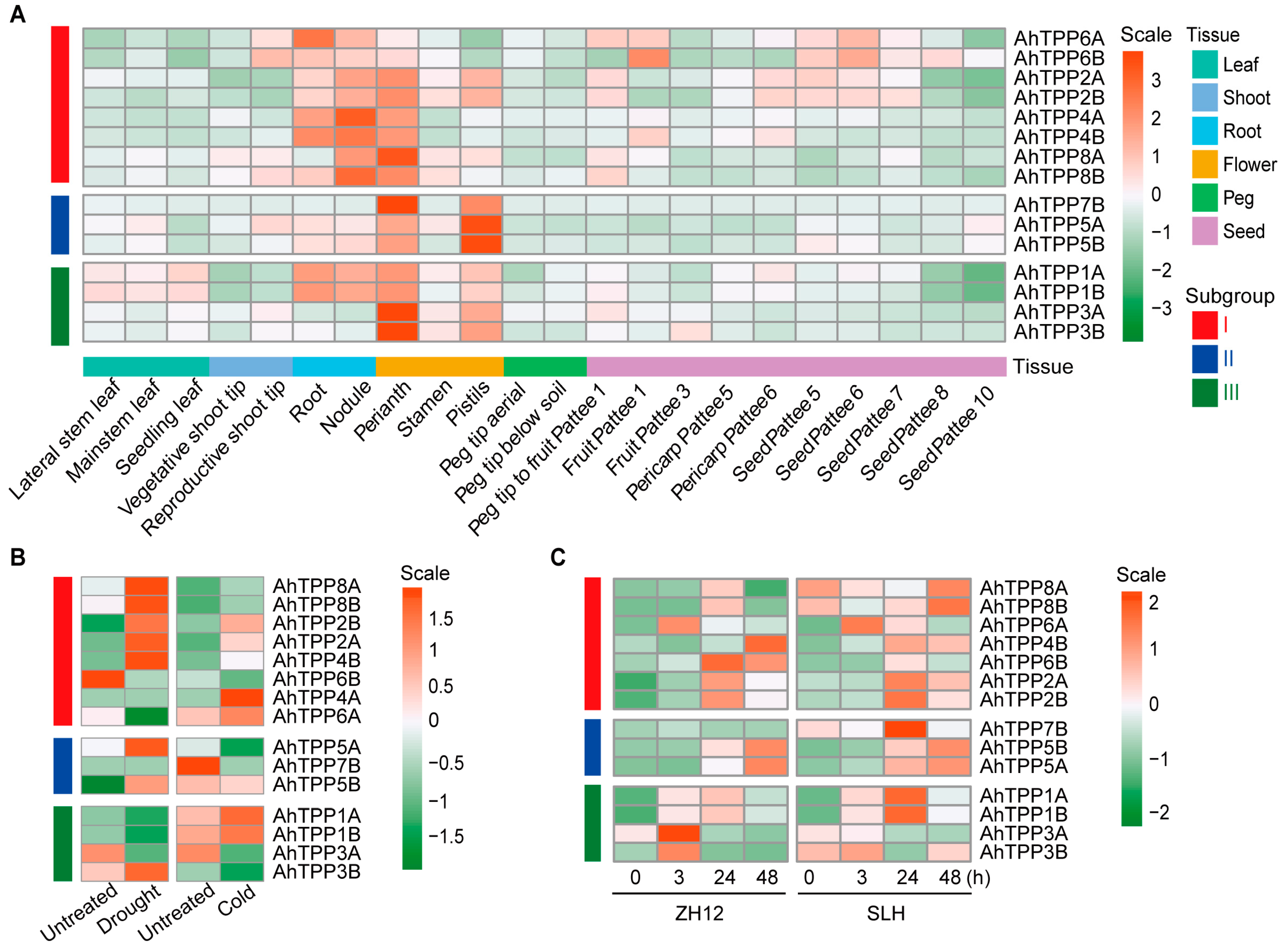 Plants 13 01056 g005