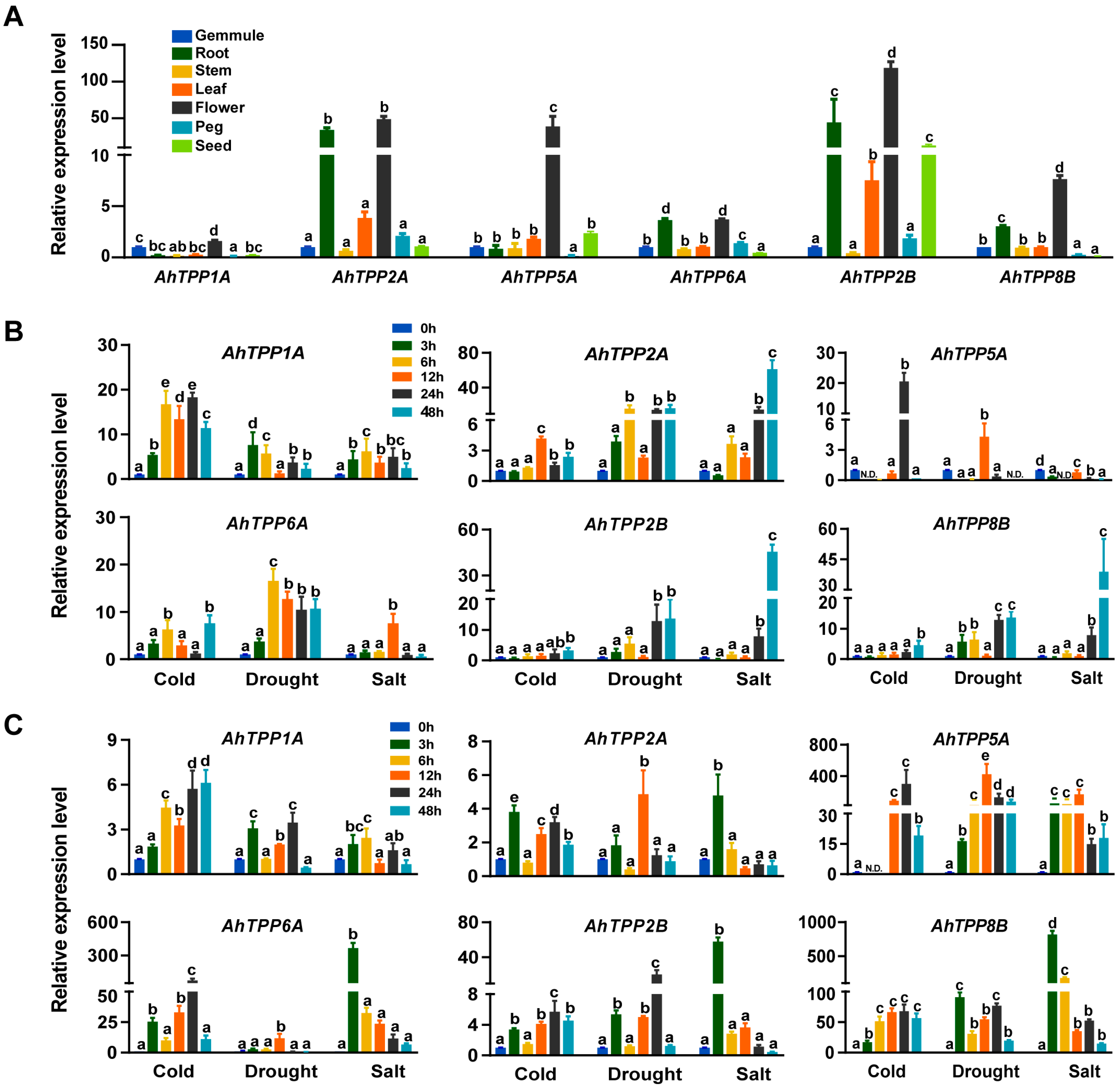 Plants 13 01056 g006