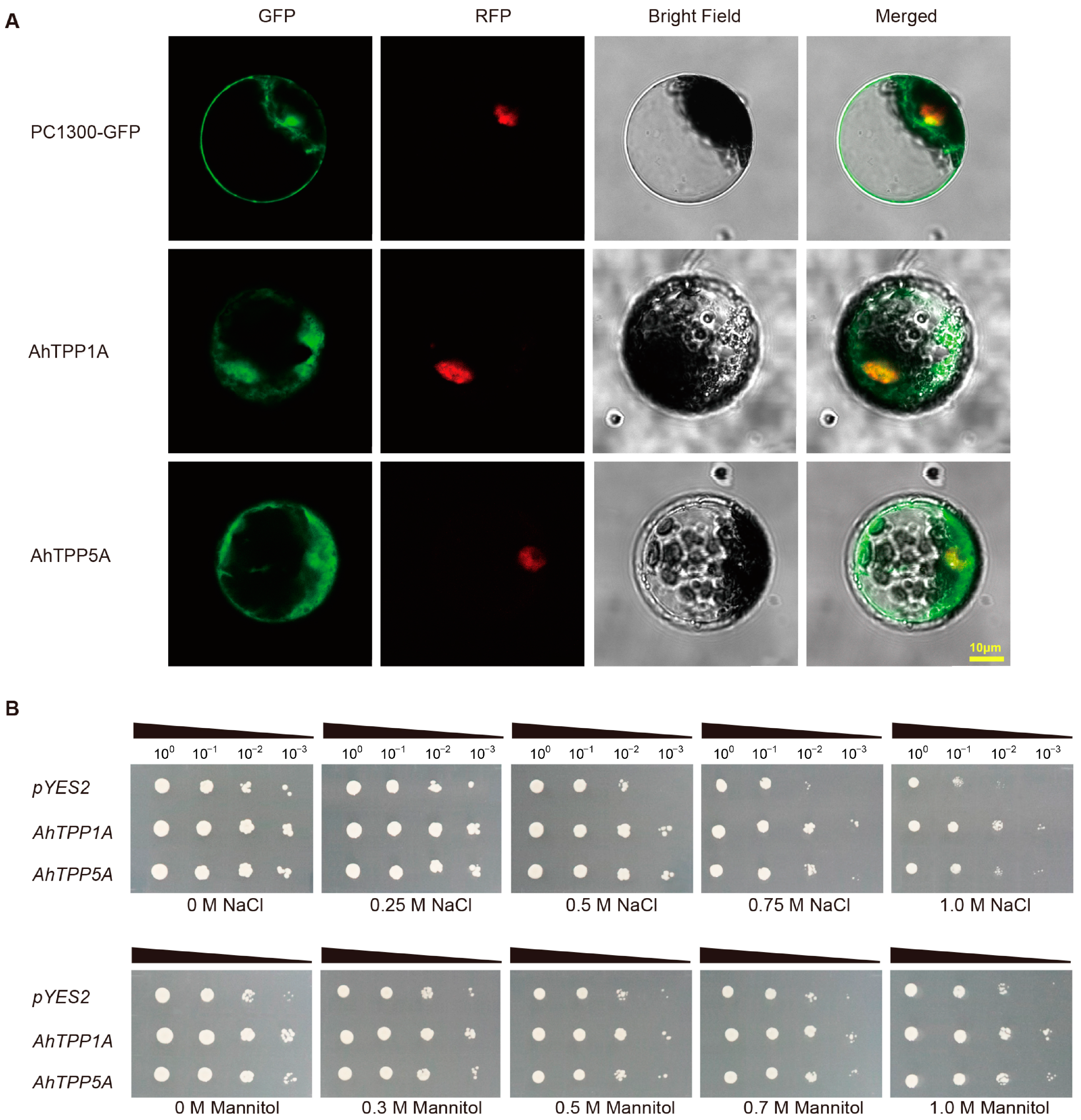 Plants 13 01056 g007