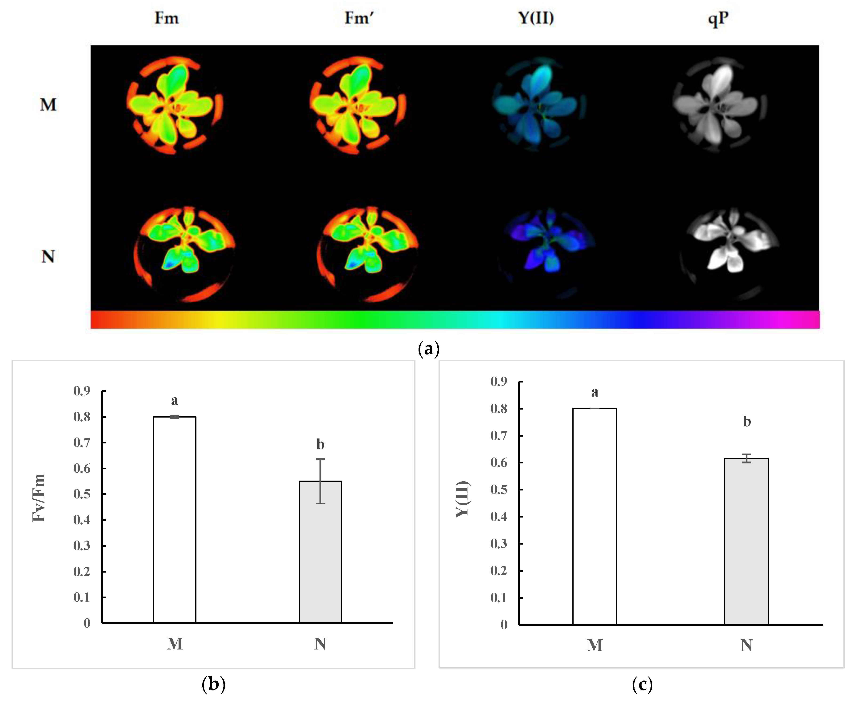 Plants 13 01062 g001a