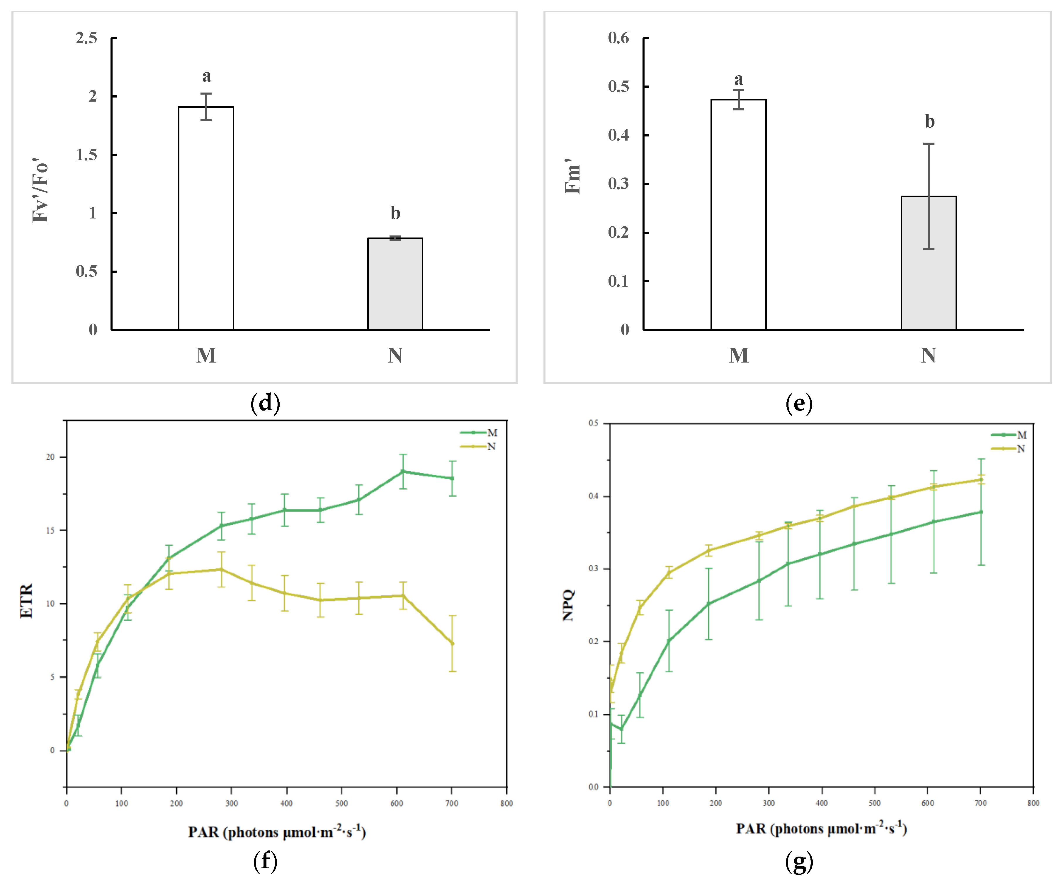 Plants 13 01062 g001b