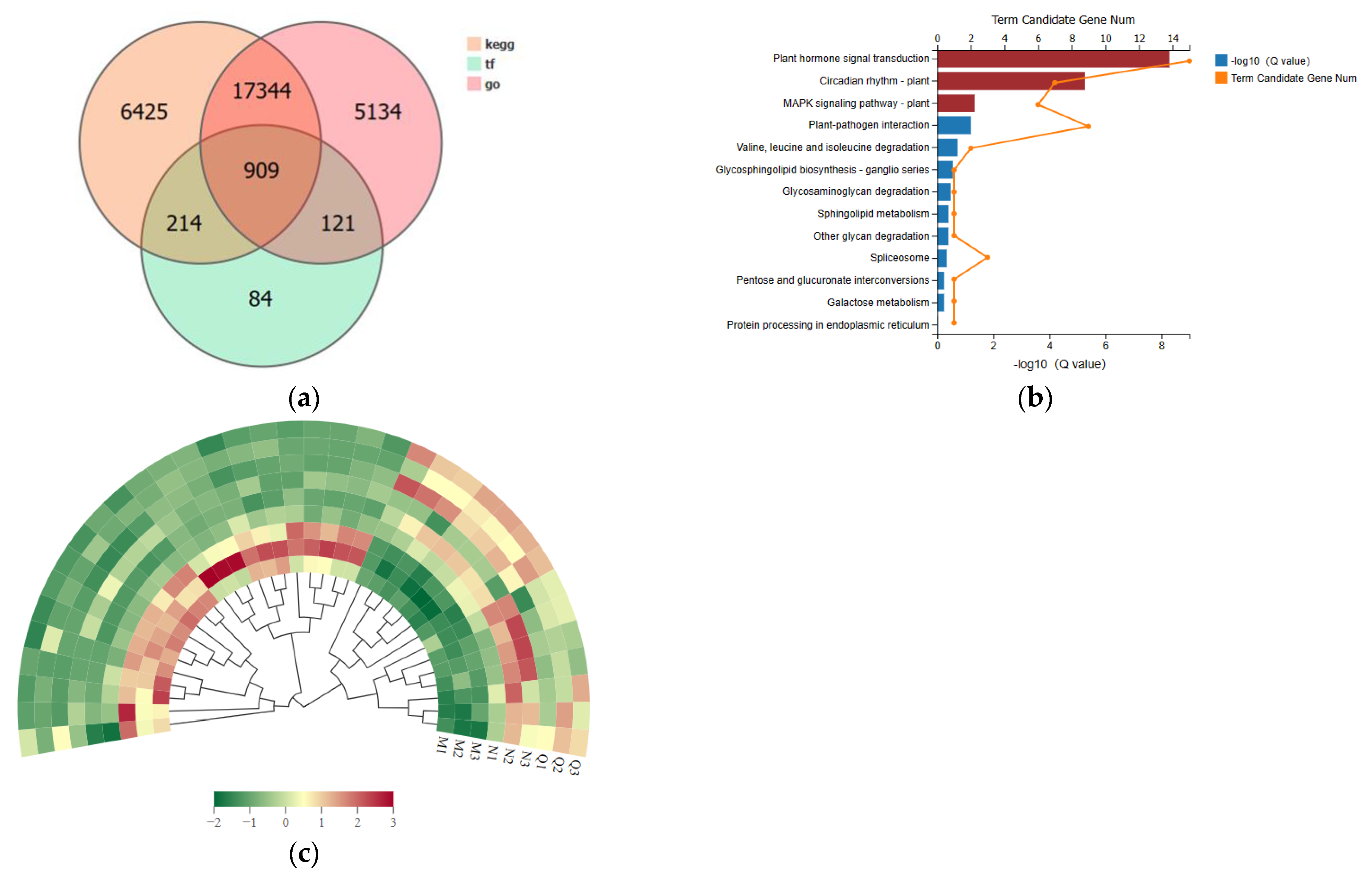 Plants 13 01062 g006