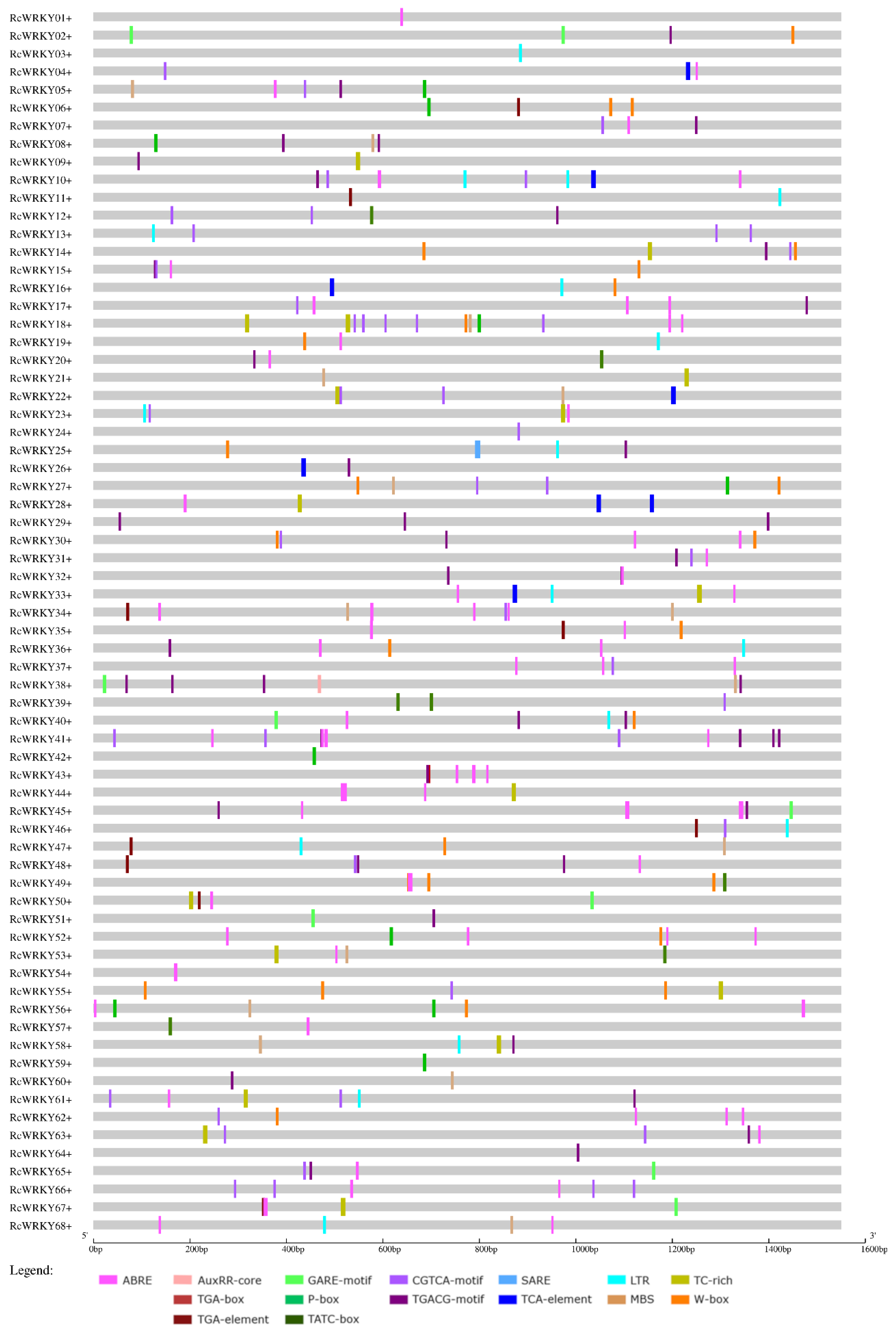 Plants 13 01066 g004