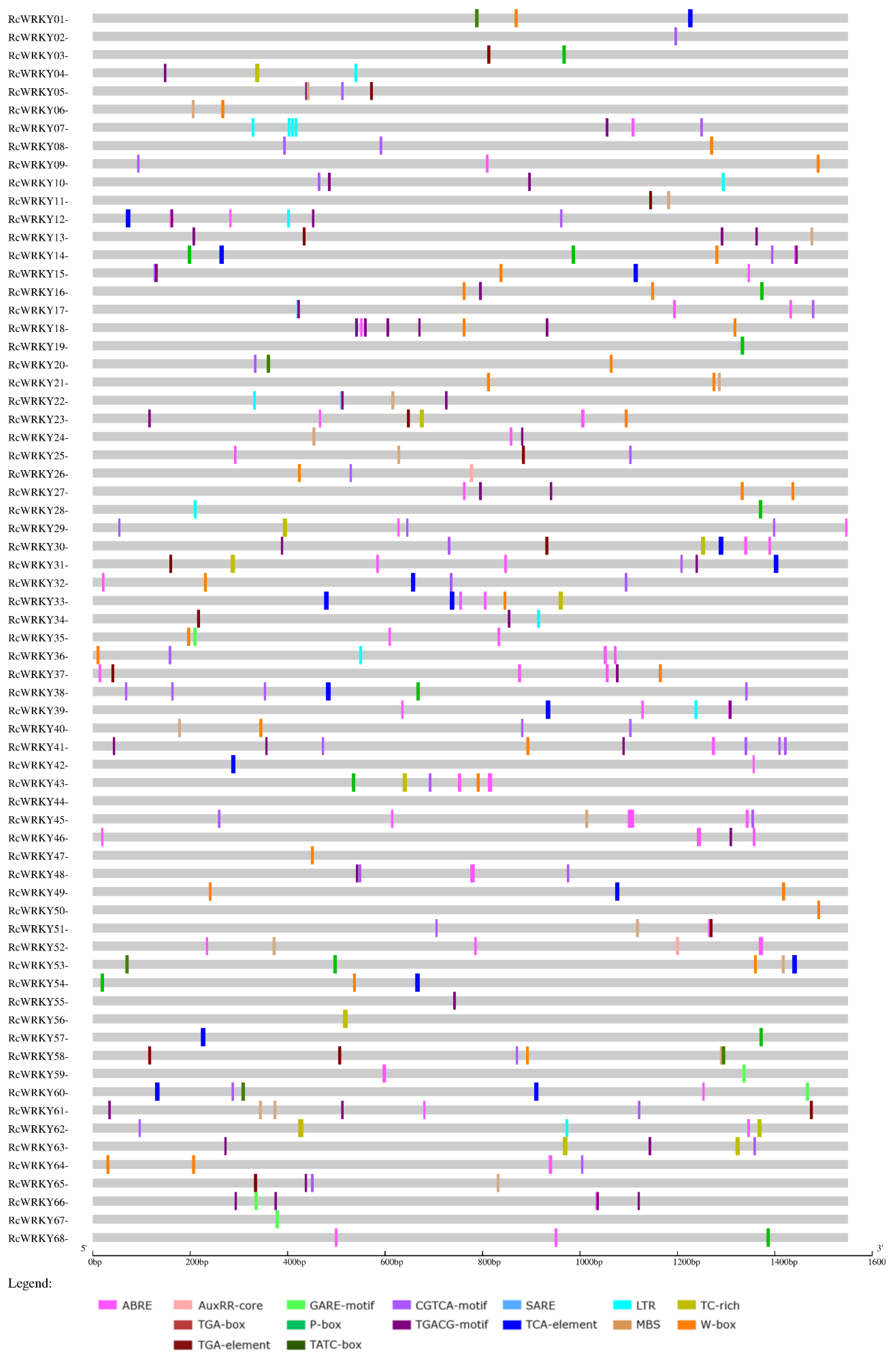 Plants 13 01066 g005